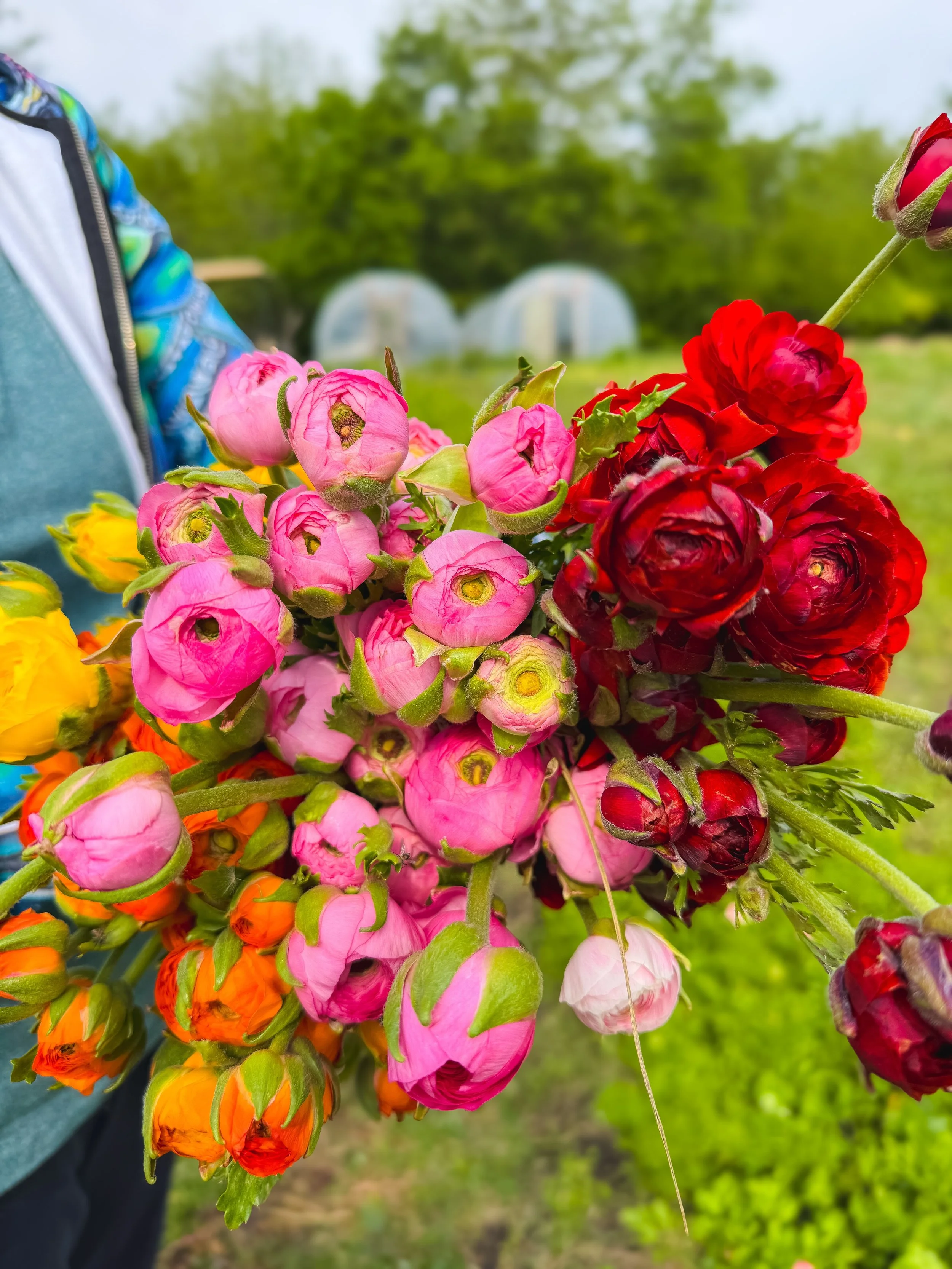 🌸TOMORROW!!!🌸

It&rsquo;s the day we&rsquo;ve been preparing for since April 2025!!! The flower farmer&rsquo;s Super Bowl! Mother&rsquo;s Day weekend is our BIGGEST weekend of the entire year, and we are so excited to see you all tomorrow! We have 