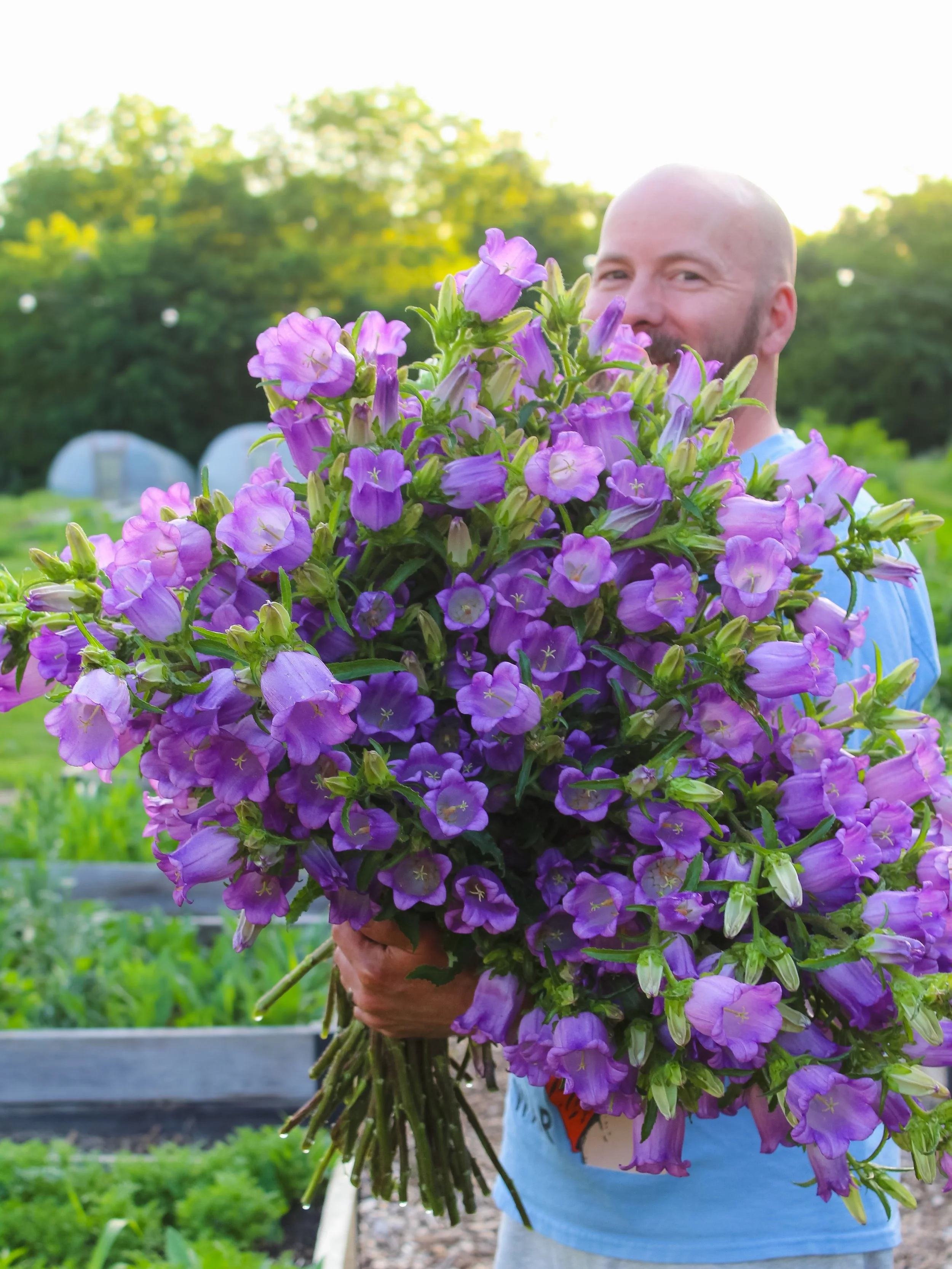 📣Hey, Springfield! 📣

Exciting news! This Saturday you can find our flowers at the @oldcapitolfarmersmarket starting at 8am! 

You can also find our flowers at Harvest Market once our summer crops kick in! 

We would love to add some more stops on 