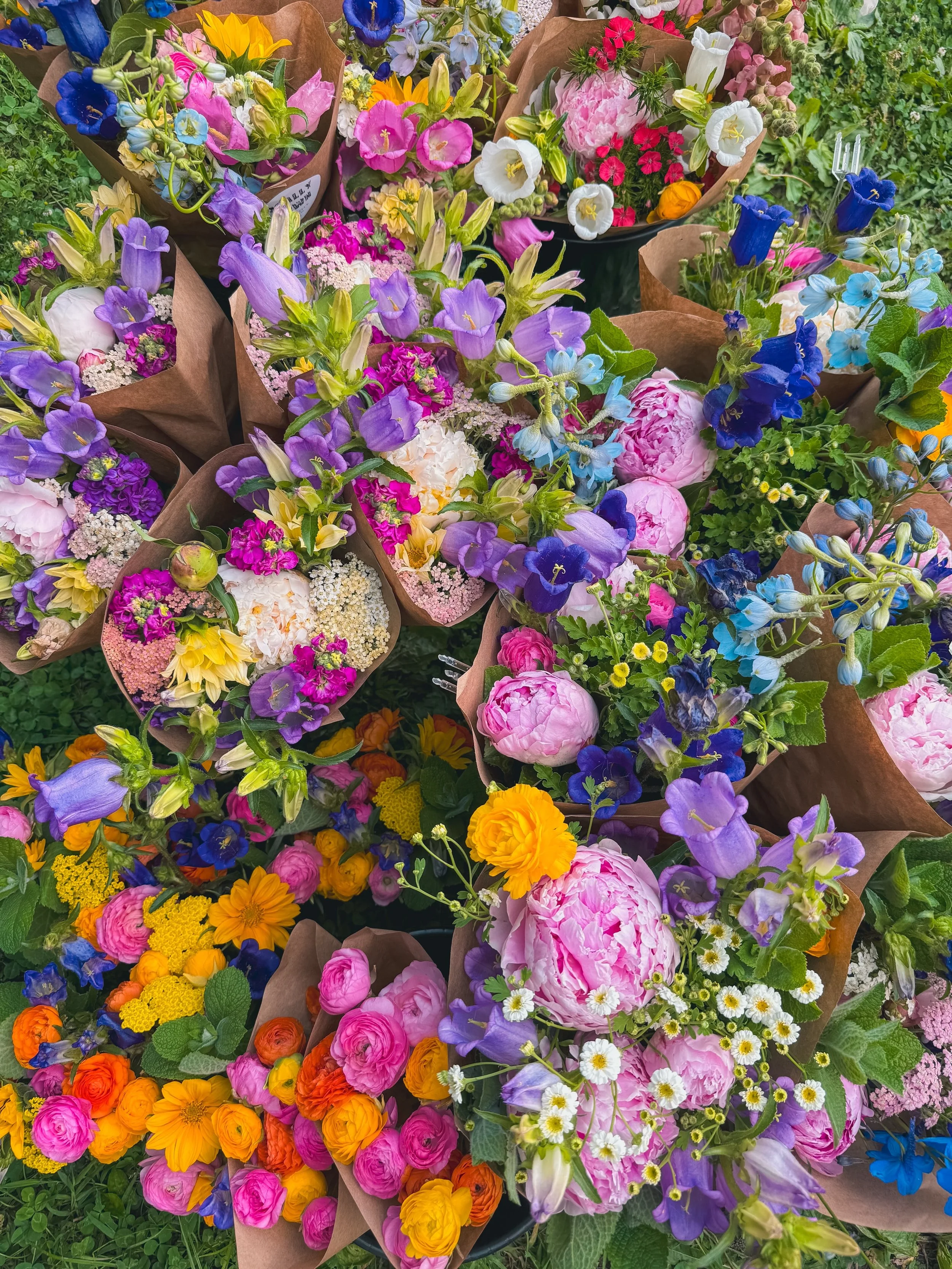 🦋FARM STAND OPEN SUNDAY 8AM-NOON!🦋

Ya&rsquo;ll, we had a wonderful day today at the Old Capital Farmers Market in downtown Springfield and a great farm stand!  We have some gorgeous sparkly wonkalicious bouquets going on the stand tomorrow (Sunday