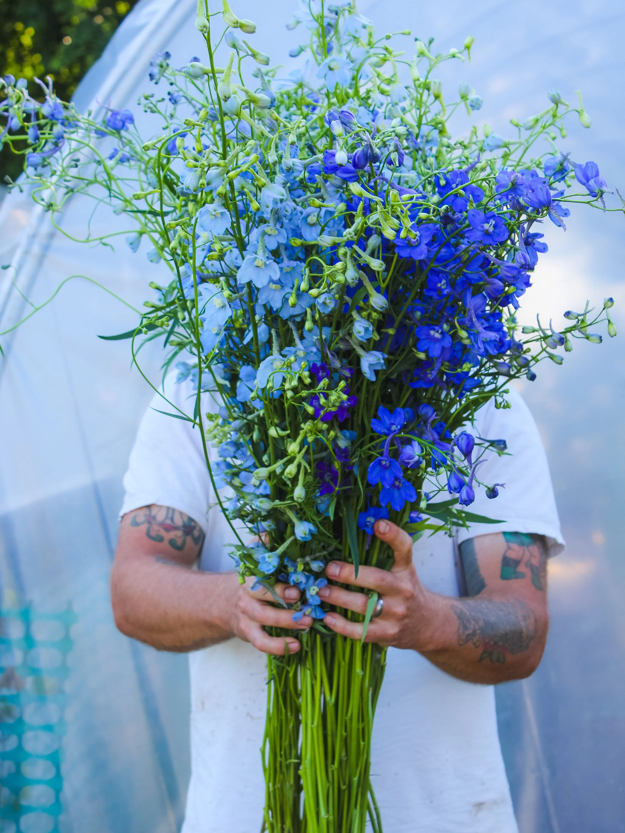 Heeeeey, Decatur!!! It&rsquo;s our FIRST Central Park Farmer&rsquo;s Market of the season this Saturday! It&rsquo;s gonna be one heck of a first market with so many amazing ingredients, including these massive blue delphiniums! Their stems are so lon
