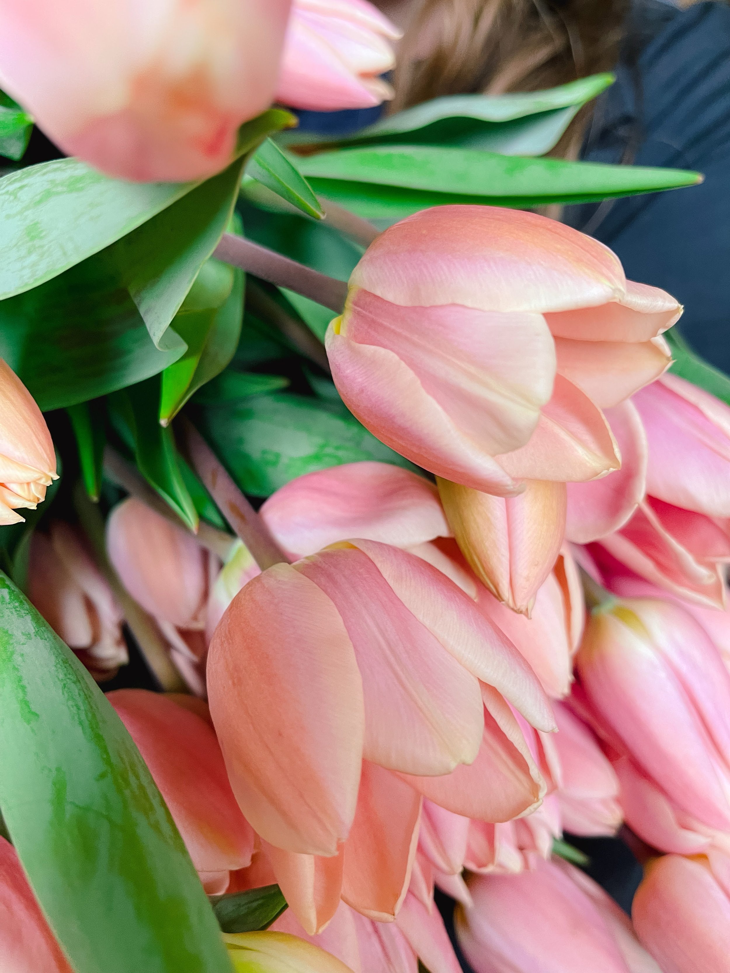 This was one of the first &ldquo;professional&rdquo; tulips I grew and it still remains one of my favorite varieties of all time! This is Menton, and it&rsquo;s the TALLEST tulip we grow on the strongest stems! This picture doesn&rsquo;t even capture