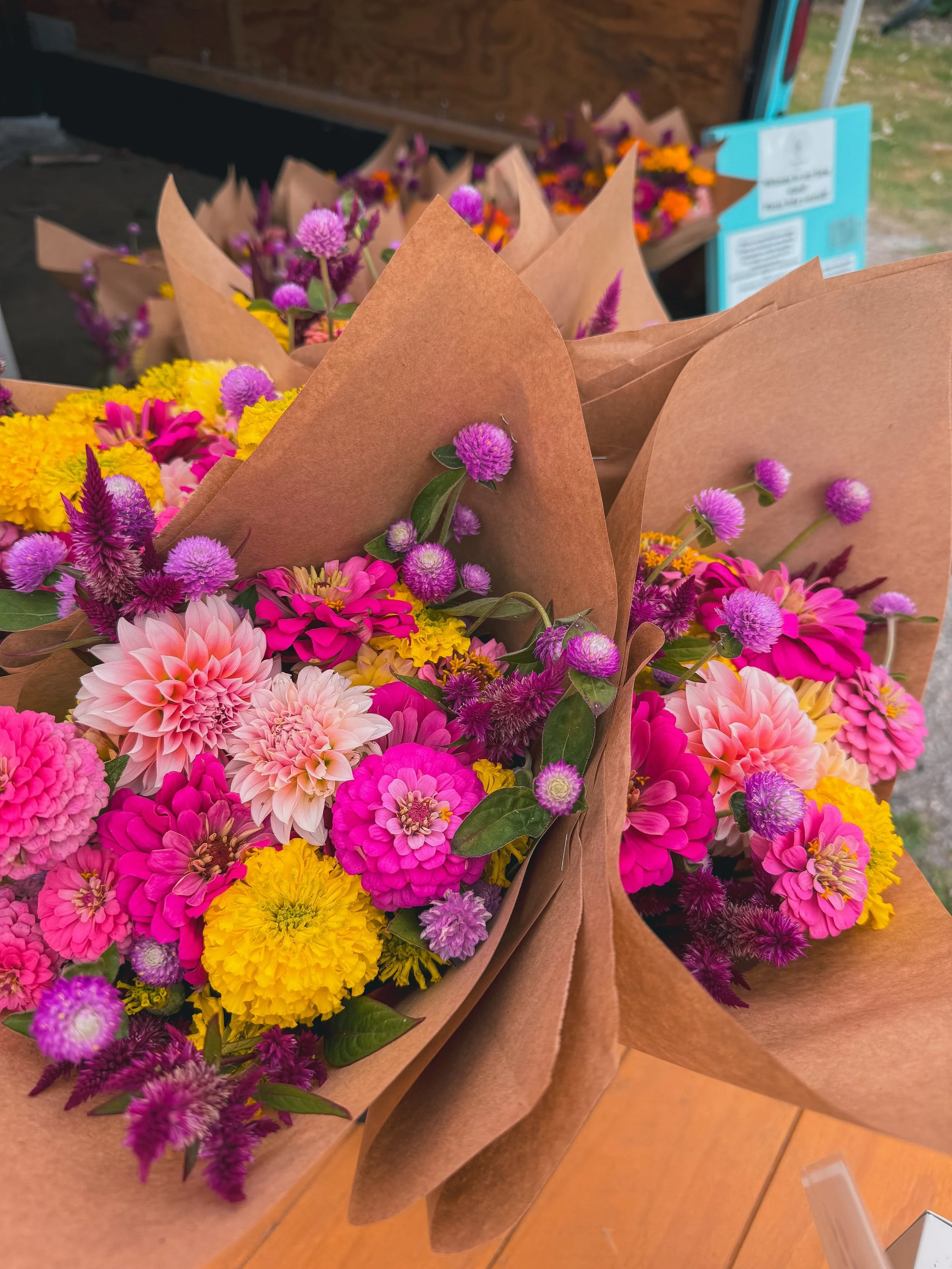 📣Last Midweek Farmstand is open until 6!📣

We are expecting frost this Saturday morning which will take out our field for the season! We&rsquo;ve got some amazing dahlia studded bouquets on the stand today until 6! We will be working hard to get th