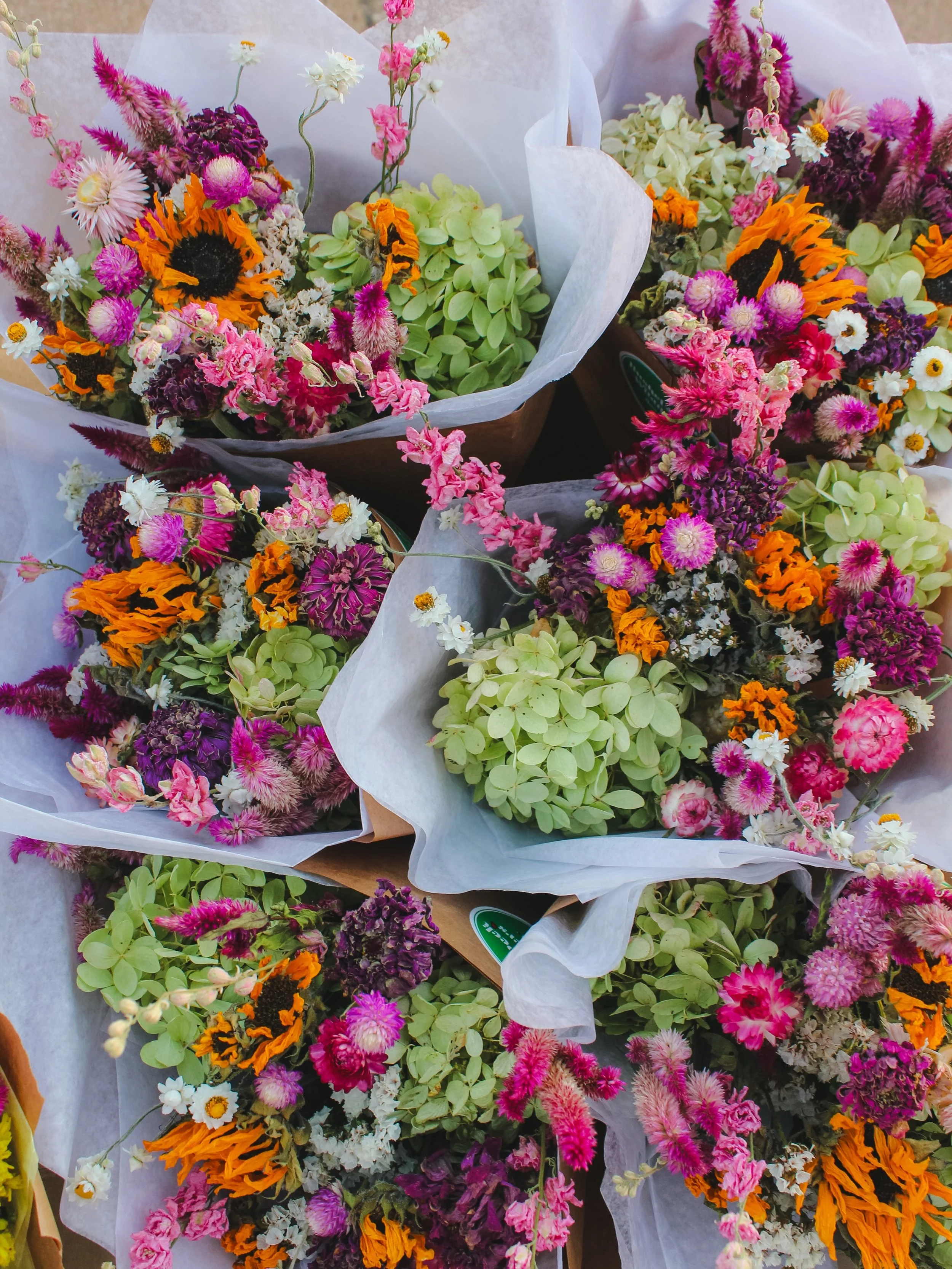 We&rsquo;ve put together some really fun dried mixed bouquets and straight bunches for Harvest Market&rsquo;s delivery tomorrow! I&rsquo;ve grown to love everlasting flowers just as much as the fresh ones! What do you guys think of these!?! We&rsquo;