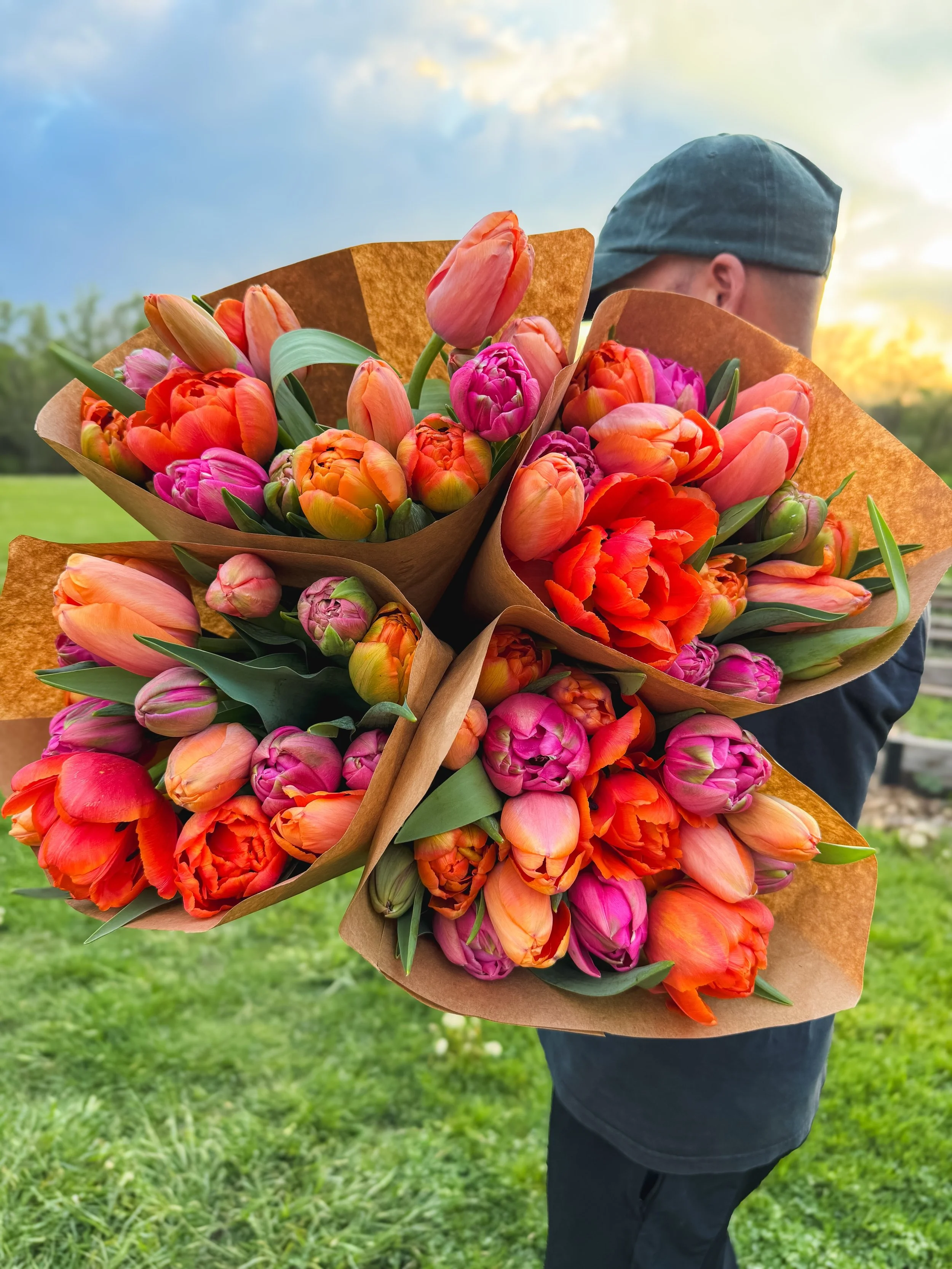 🚨TWO IMPORTANT ANNOUNCEMENTS!🚨

1. We are clearing out our remaining tulip bulbs before we start planting next week! All remaining tulip bulbs are 30% off! Choose shipping or pickup! Use code TULIPS30 at checkout! *If you pay with Apple Pay, be sur