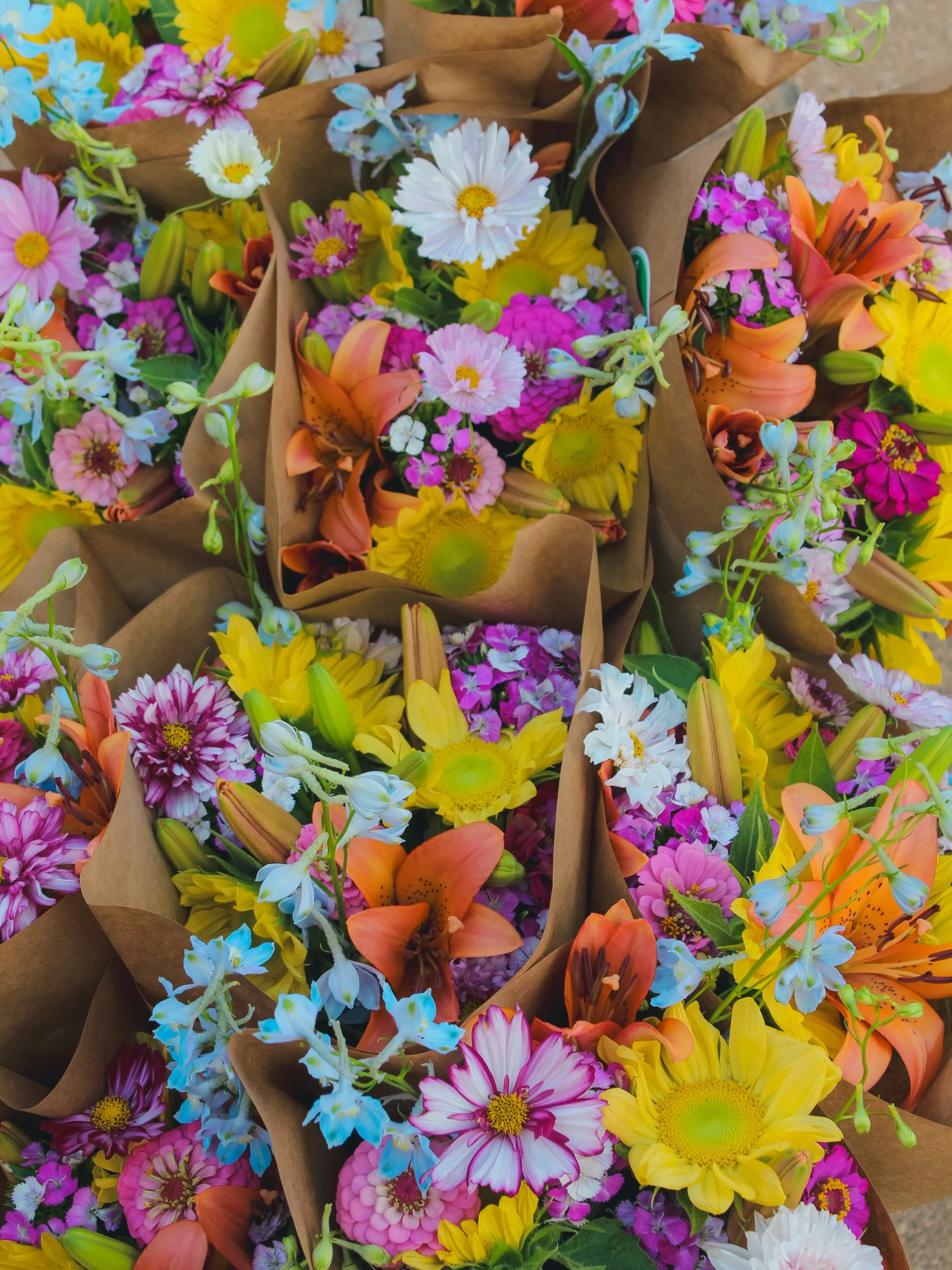 ✨🧚2027 FLOWER SUBSCRIPTIONS ARE LIVE!🧚✨

If you or someone you love adores flowers, then our 6 week flower subscription is sure to bring some extra ✨joy✨ into your life! Each week you will receive a large curated bouquet fresh from our garden to yo