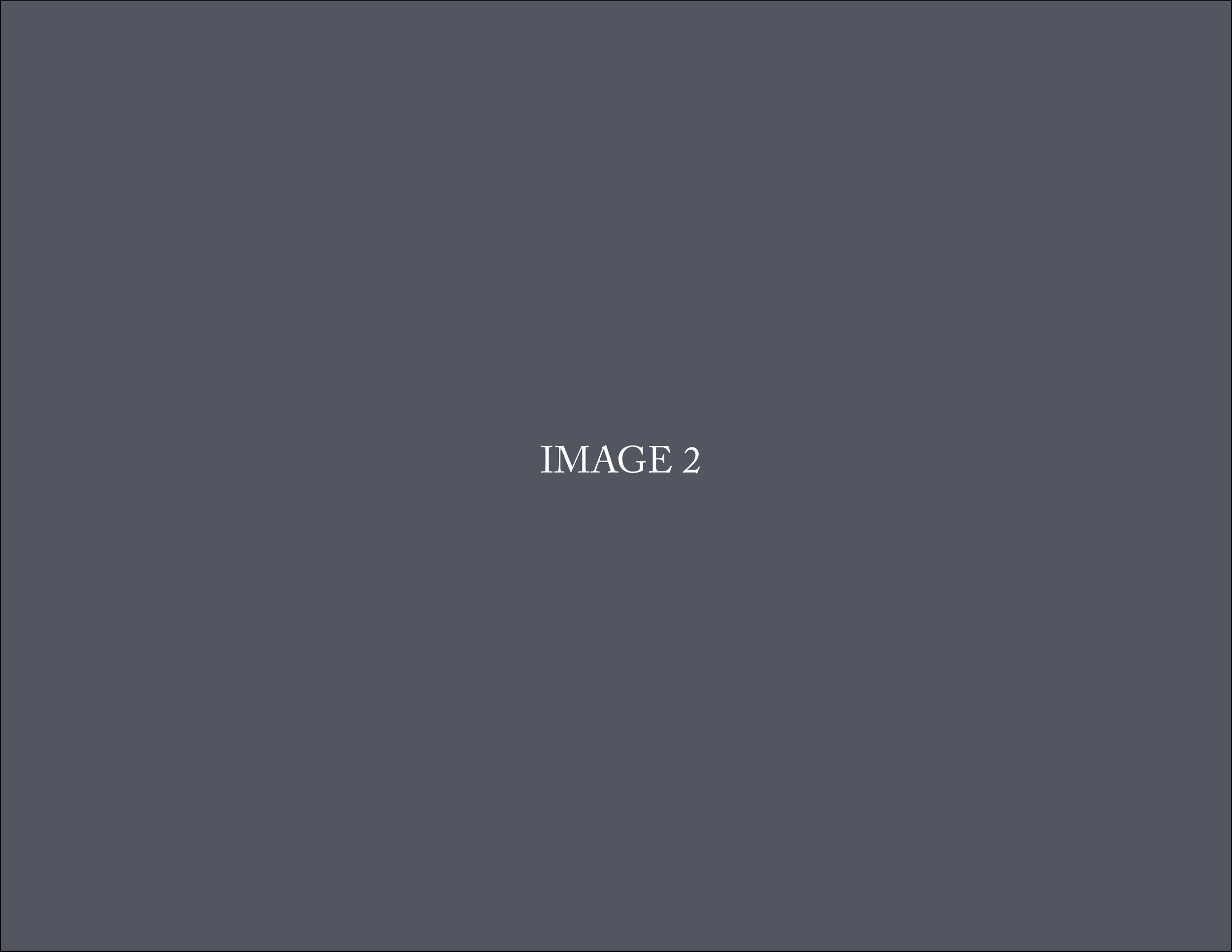Placeholder_Image-02.png