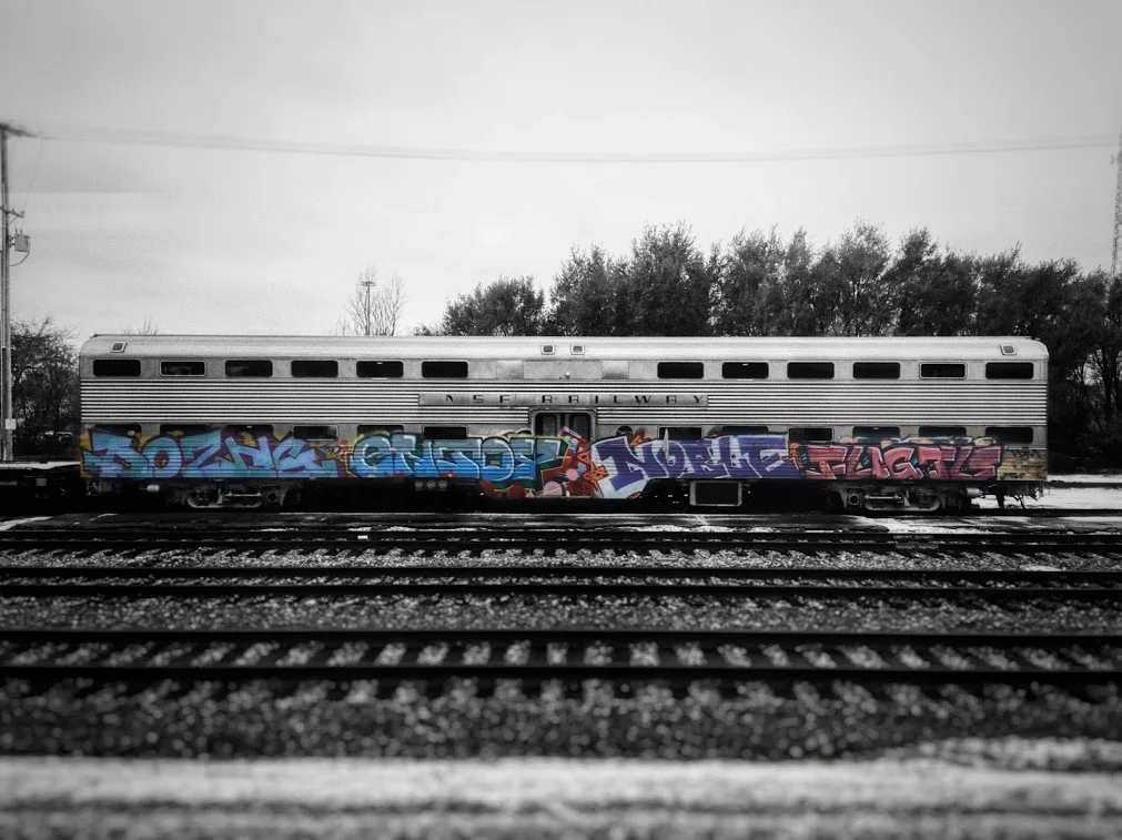 IMG_20181115_150939-01.jpg