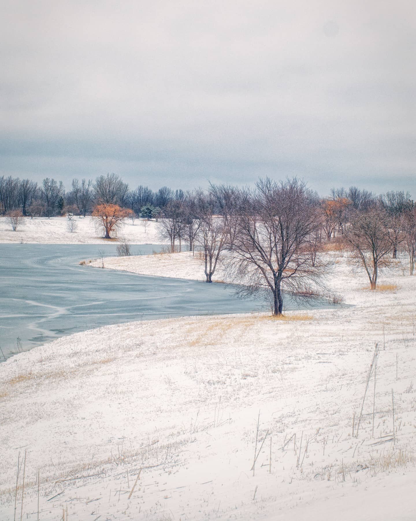 One more photo from the beautiful Centennial Park in @villageoftinleypark! Prints are available! Don't forget to look at the others in this series on my feed. Comment your favorite and why! Share your favorite with your friends! And if you like my wo