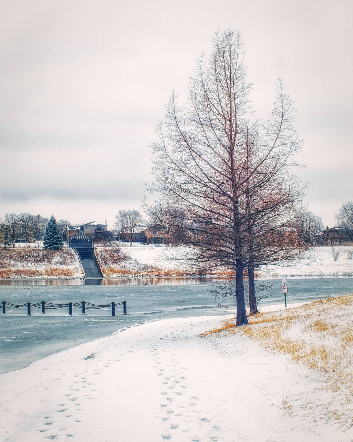 Another from this last weekend at Centennial Park in @villageoftinleypark shot on a Canon M5. Don't forget to like the previous shots from this series if you haven't seen them yet!

Prints available on my website (link in IG profile) and I plan to de