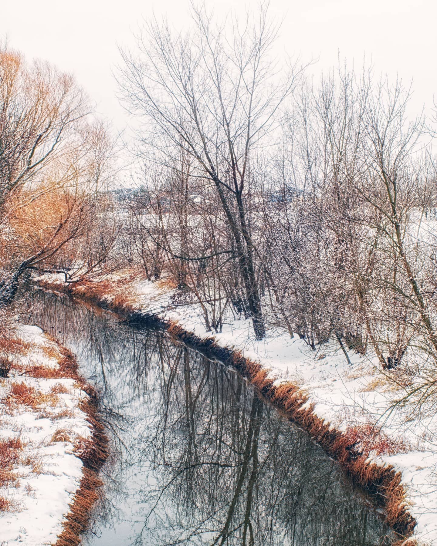 Another beautiful winter shot of @villageoftinleypark 's Centennial Park. This is looking towards the creek from on top of the bridge that crosses over it.

Shot on the Canon M5 with a Helios 44-2 lens. Edited with @dxolabs  #photolab and #nikcollect