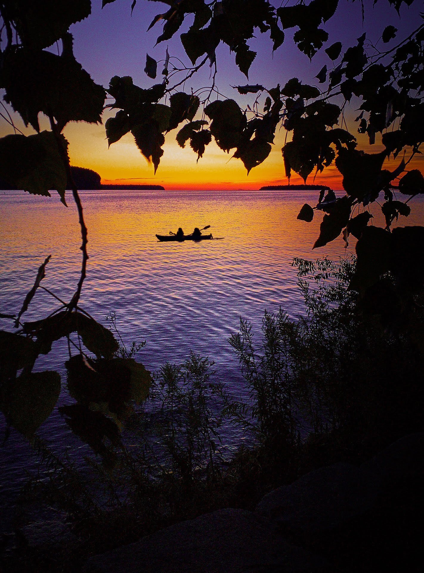 Sunset-Through-the-Leaves.jpg