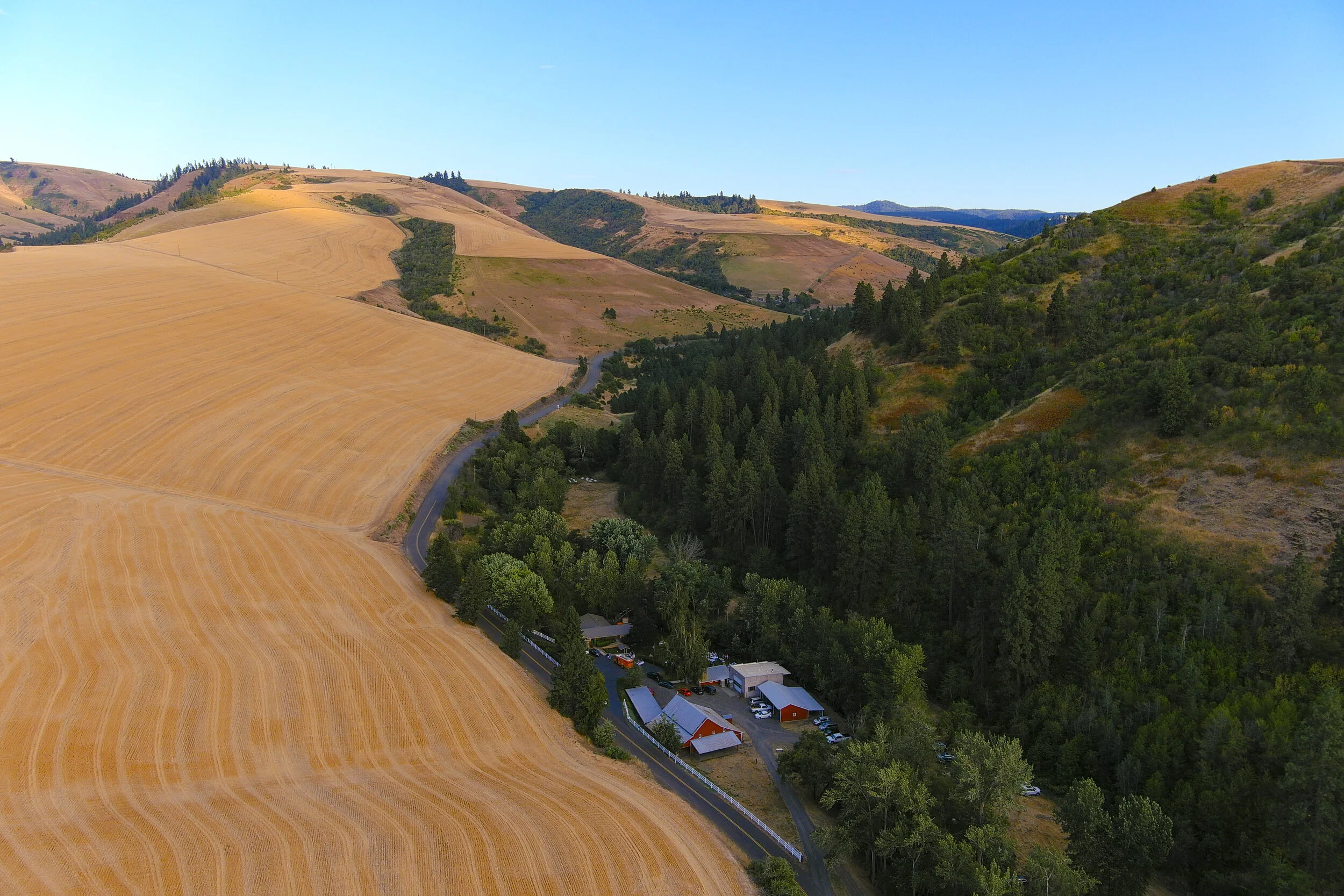 Stellas Homestead Events Aerials-49.jpg