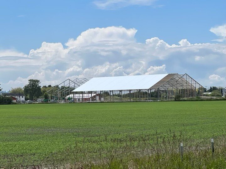 Progress shot of Point View Farm in Delta on a gorgeous June day.

#Equestrian #Horse #Horses #Barn #Stable #Stall #EquestrianBuild #EquestrianBuildings #HomeBuild #HomeConstruction #CustomStall #CustomBarn #CustomStable #DeltaBC