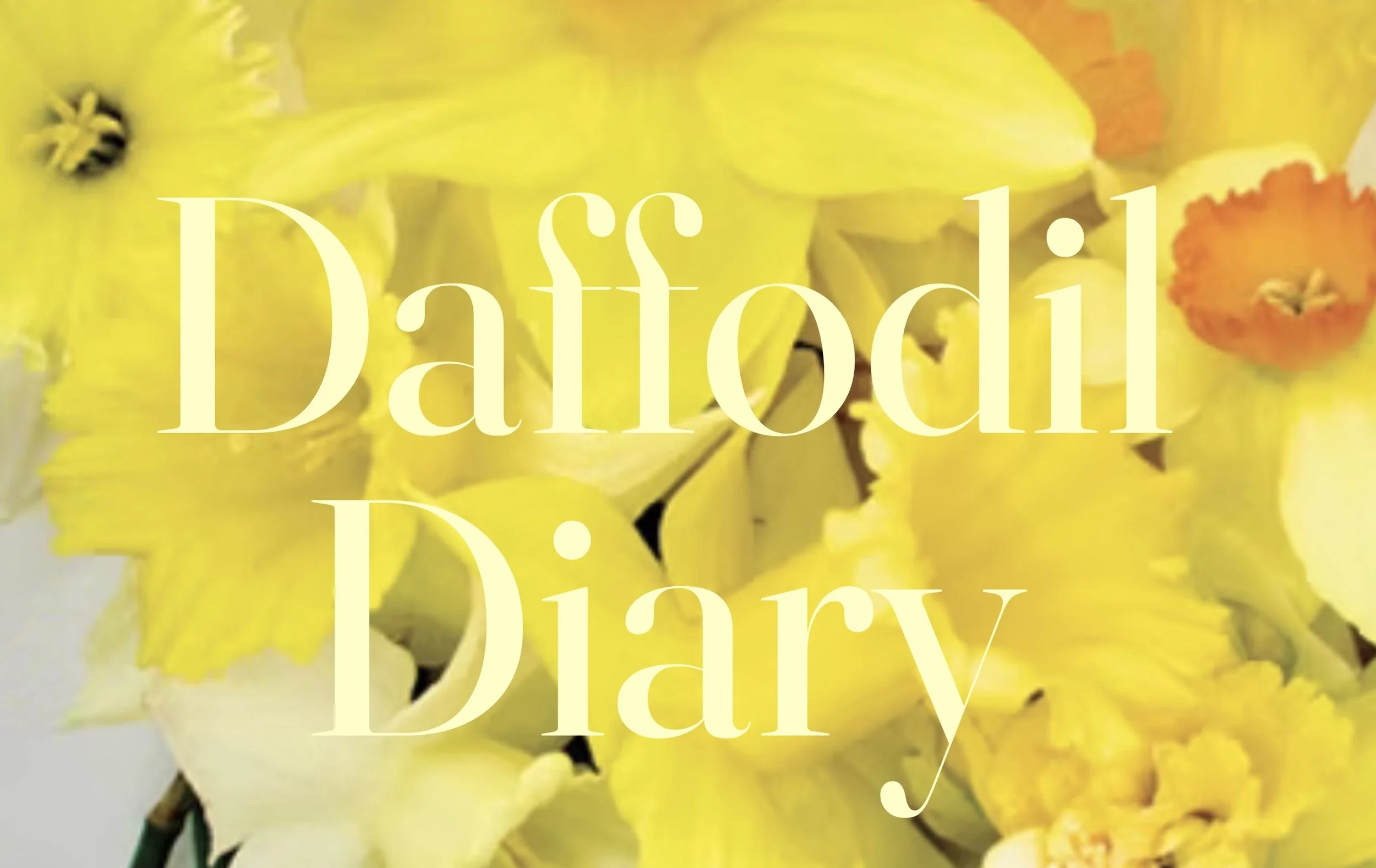 DaffodilDiaryBWD.jpg