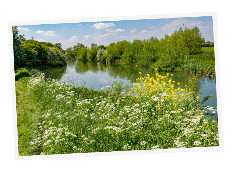 pub walk river.png