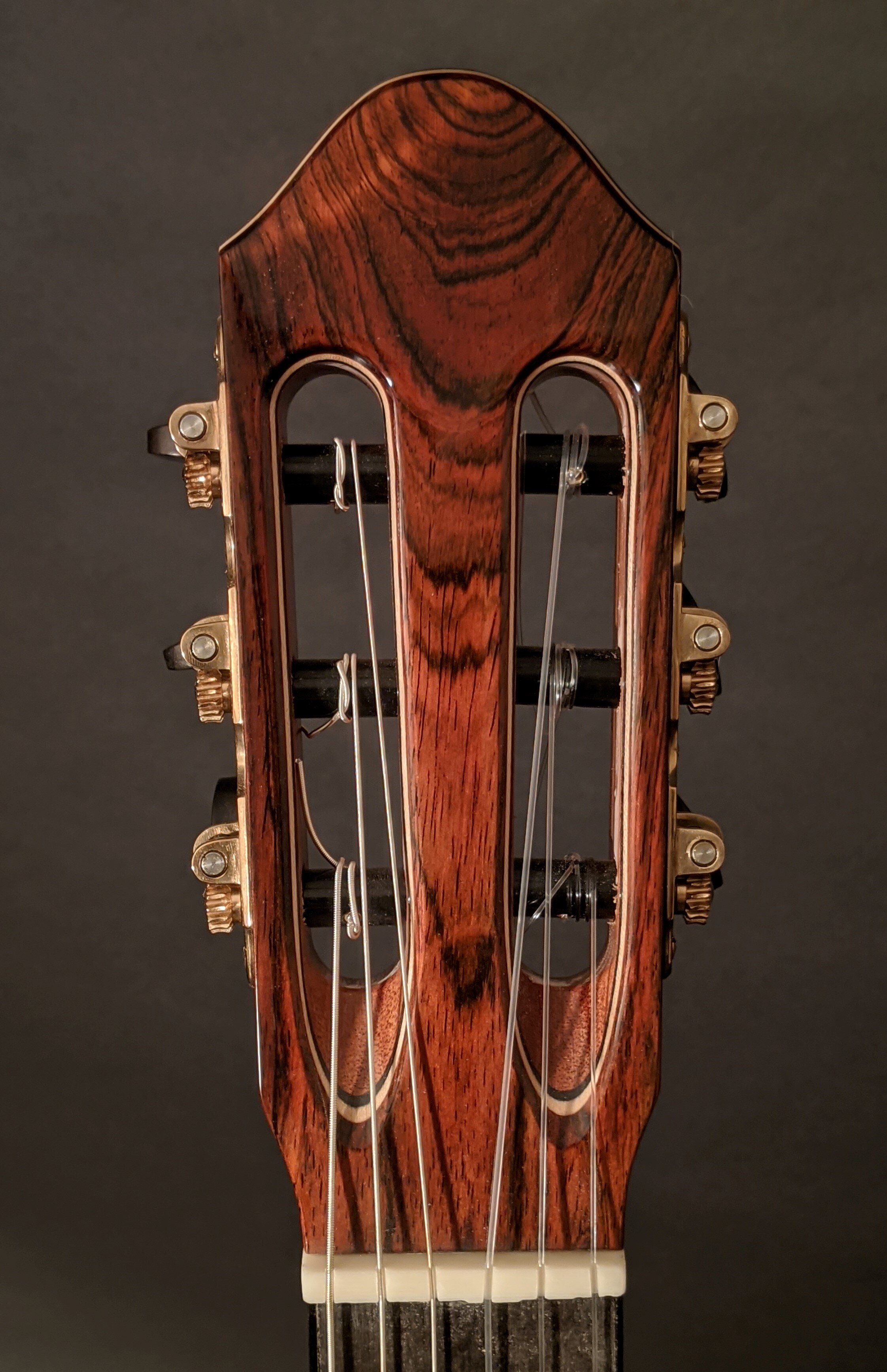 Gallery — Chapman & Fisher Guitars