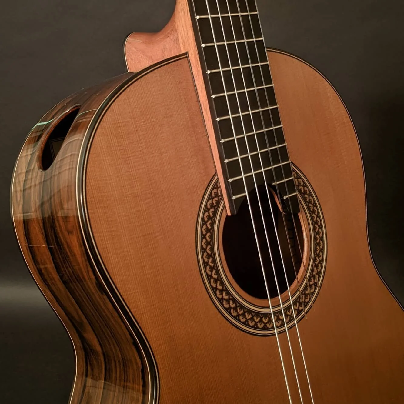 Current Projects — Chapman & Fisher Guitars