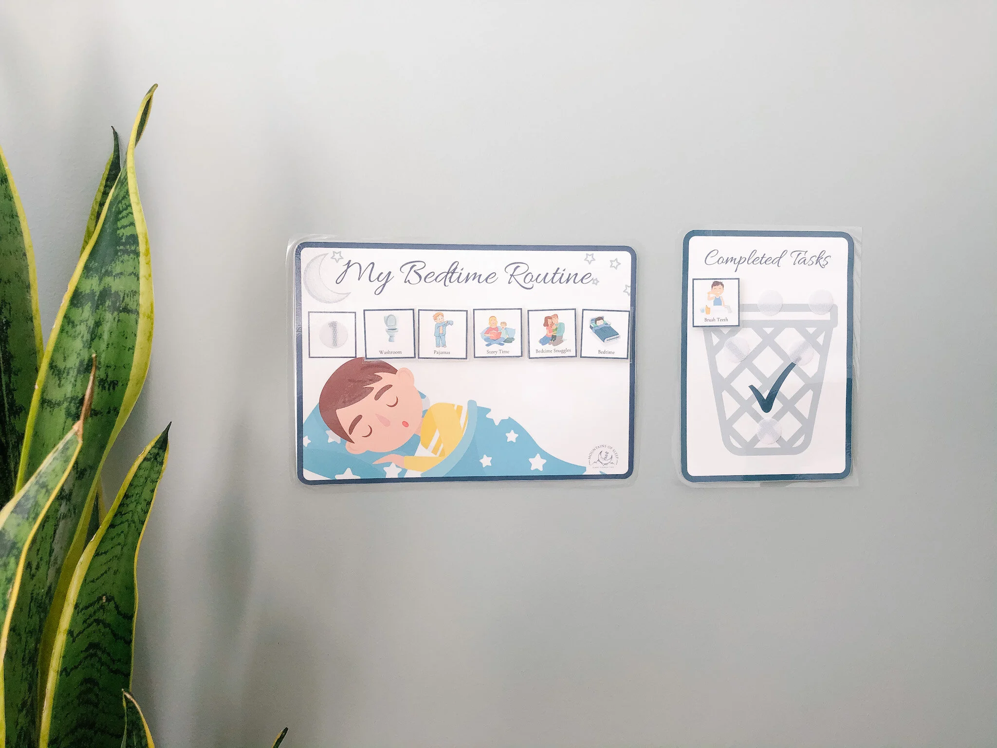 Boy Visual Bedtime Routine Close Up .jpg