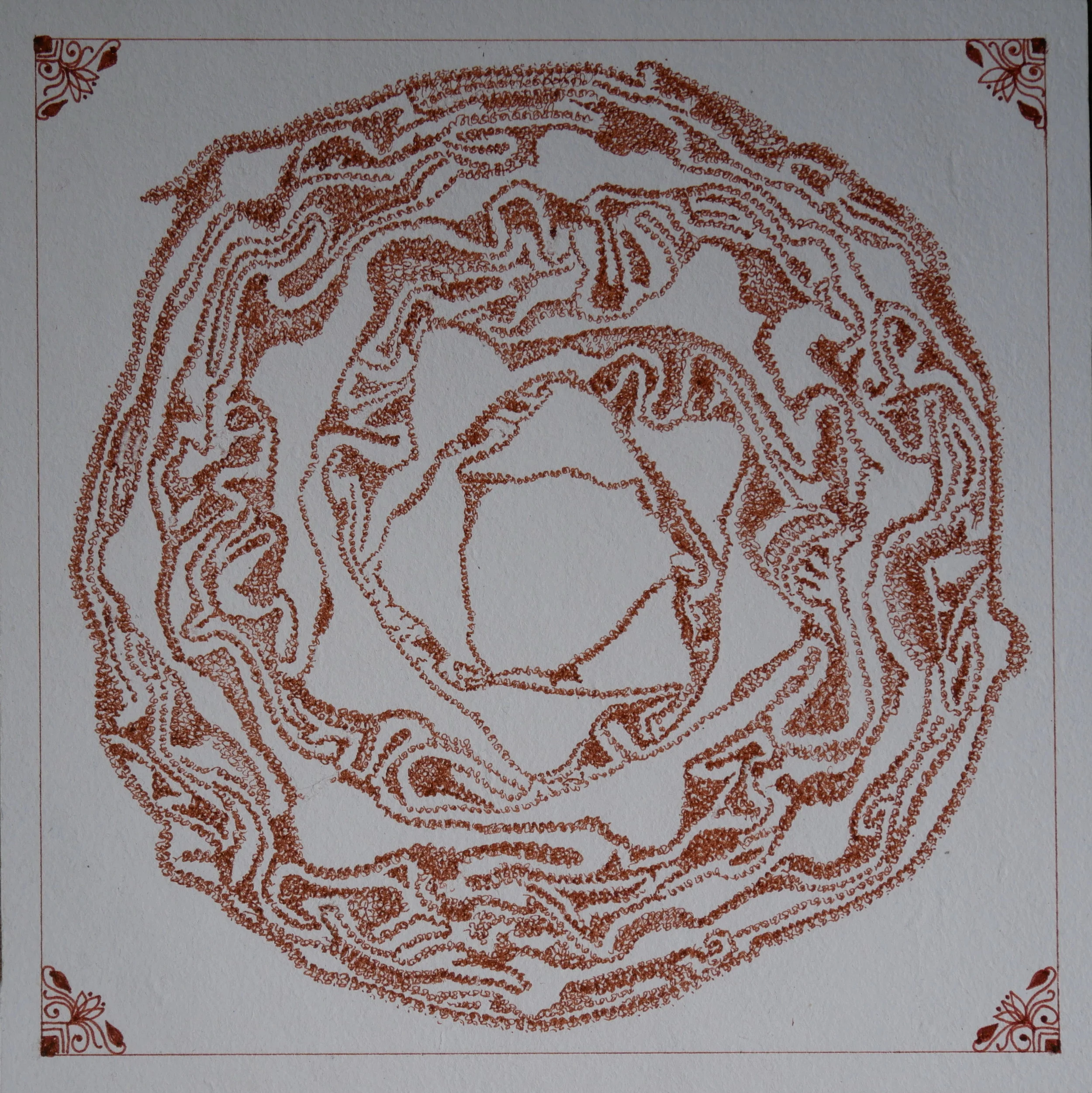  Red cabbage, transversal cut, ink on paper 20x20cm, 8x8 inches. 