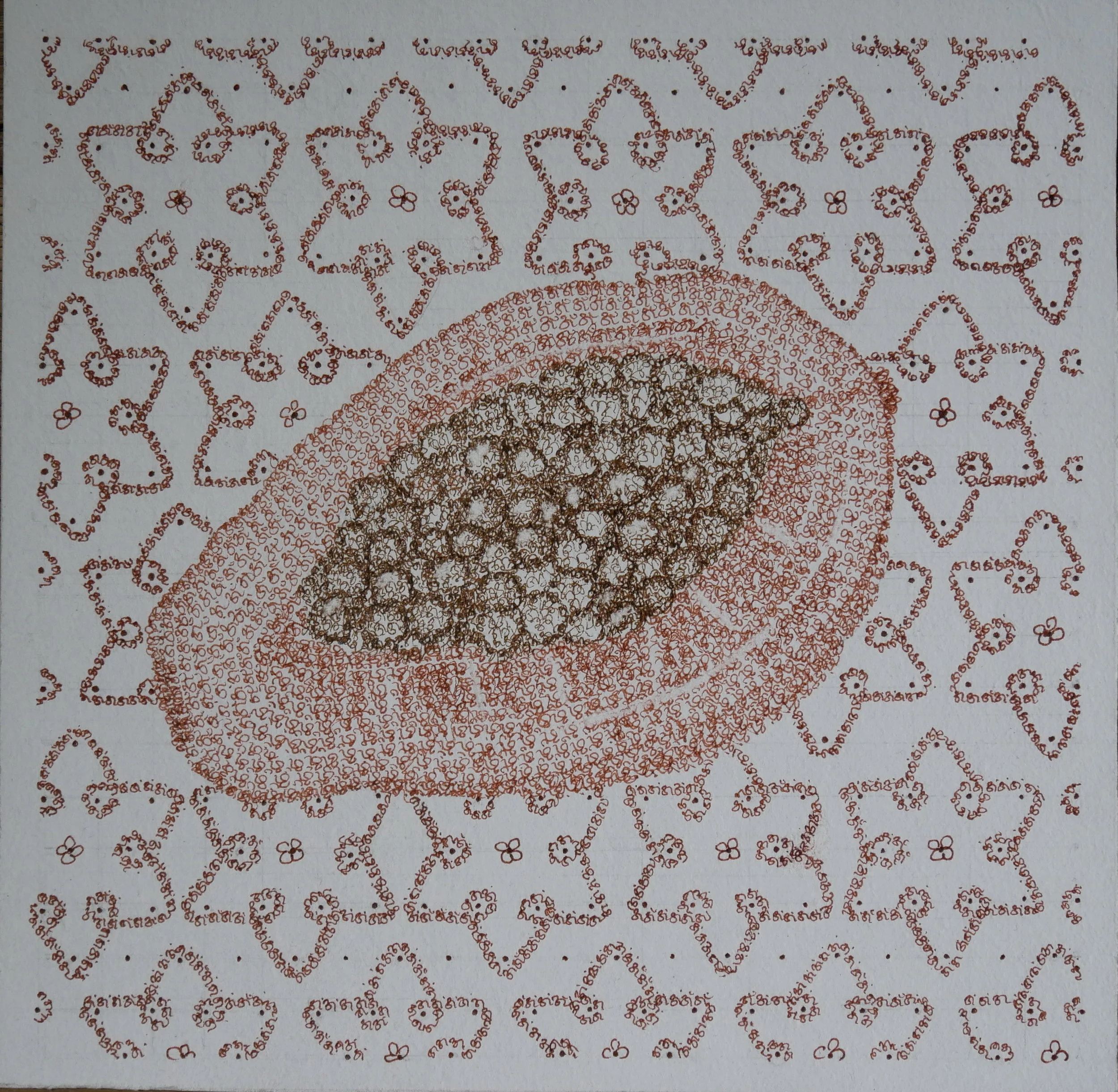  Resting papaya, ink on paper 20x20cm, 8x8 inches. 