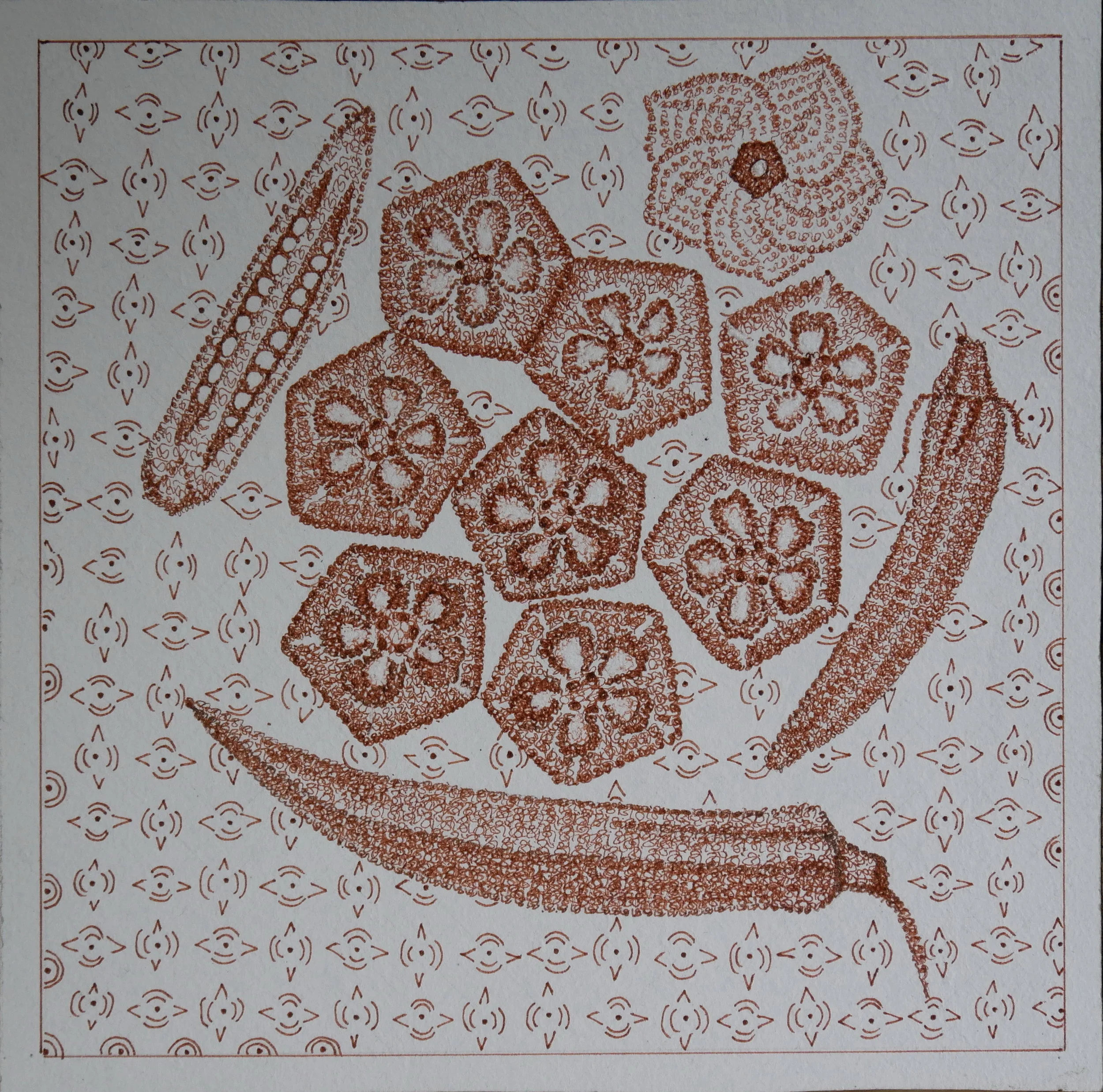  Ladies fingers, ink on paper 20x20cm, 8x8 inches. 