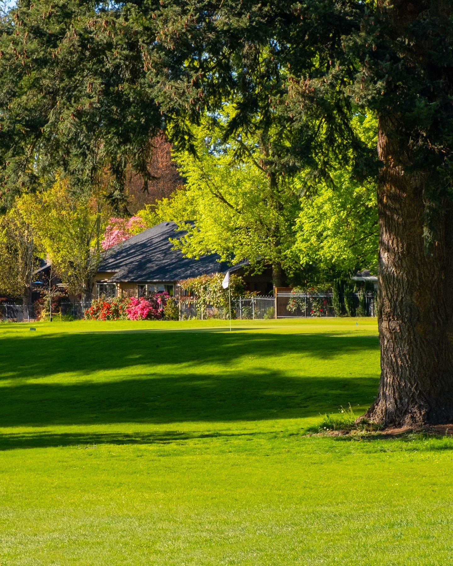 Looking back at hole 5, the longest par 3 on the course at 198 yards from the back tee box.