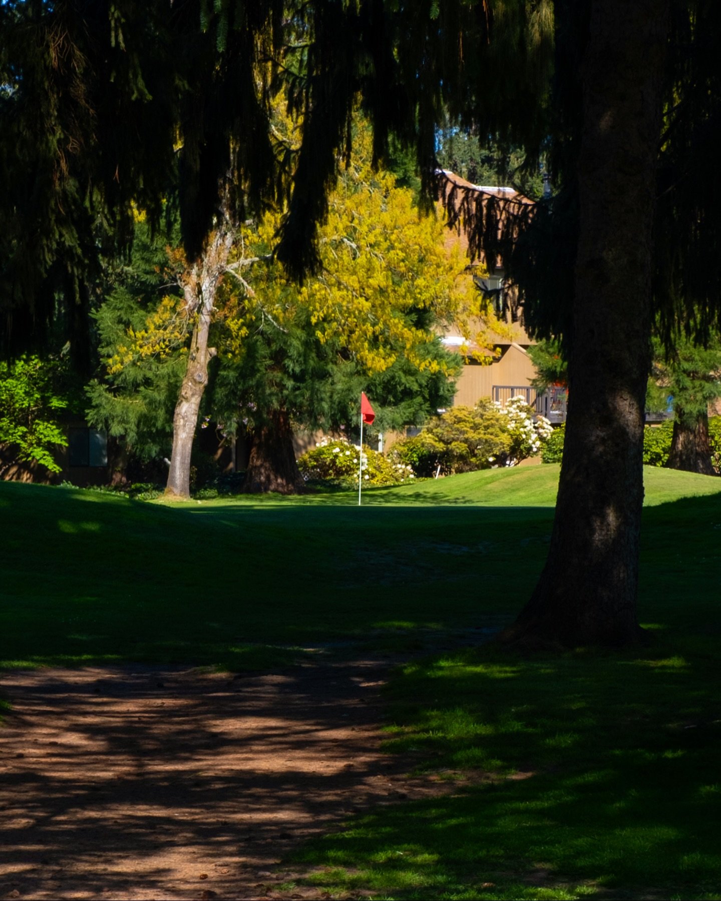 Looking back at the first hole with a birdie, thinking you&rsquo;re about to break the course record!

#yougotthis #oakwaygolfcourse