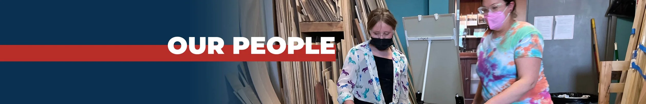 LitShop Web banner ops5.jpg