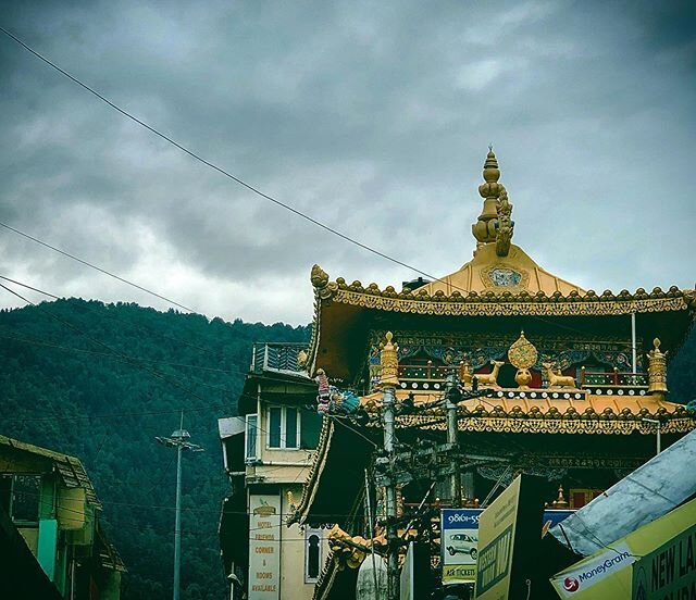 Serenity is not freedom from the storm but peace amid the storm... #dharamshala #himachalpradesh