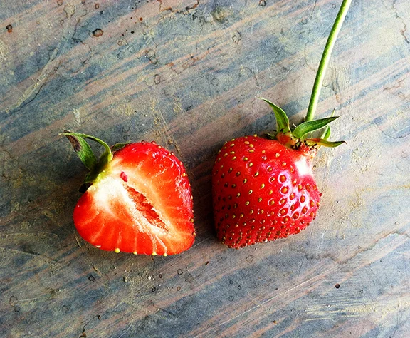 ©SarahJonesPhotography_FirstStrawberry.JPG