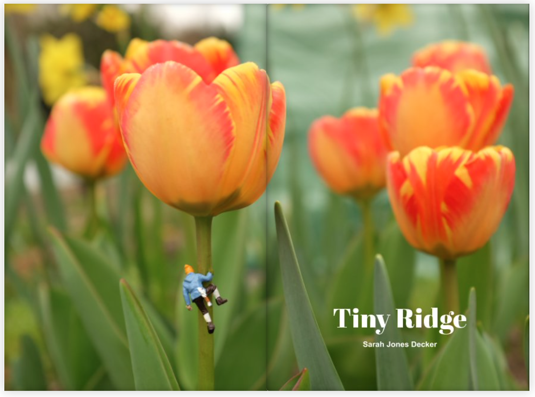 Screen Shot 2022-10-31 at 10.37.42 AM.png