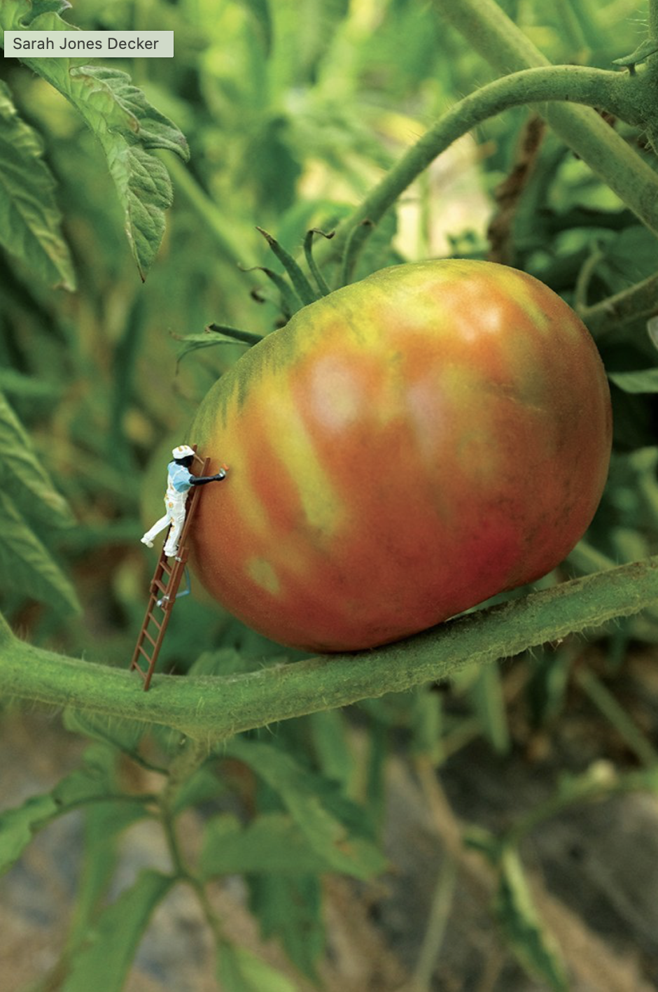 Screenshot 2025-02-07 at 10.00.15 AM.png