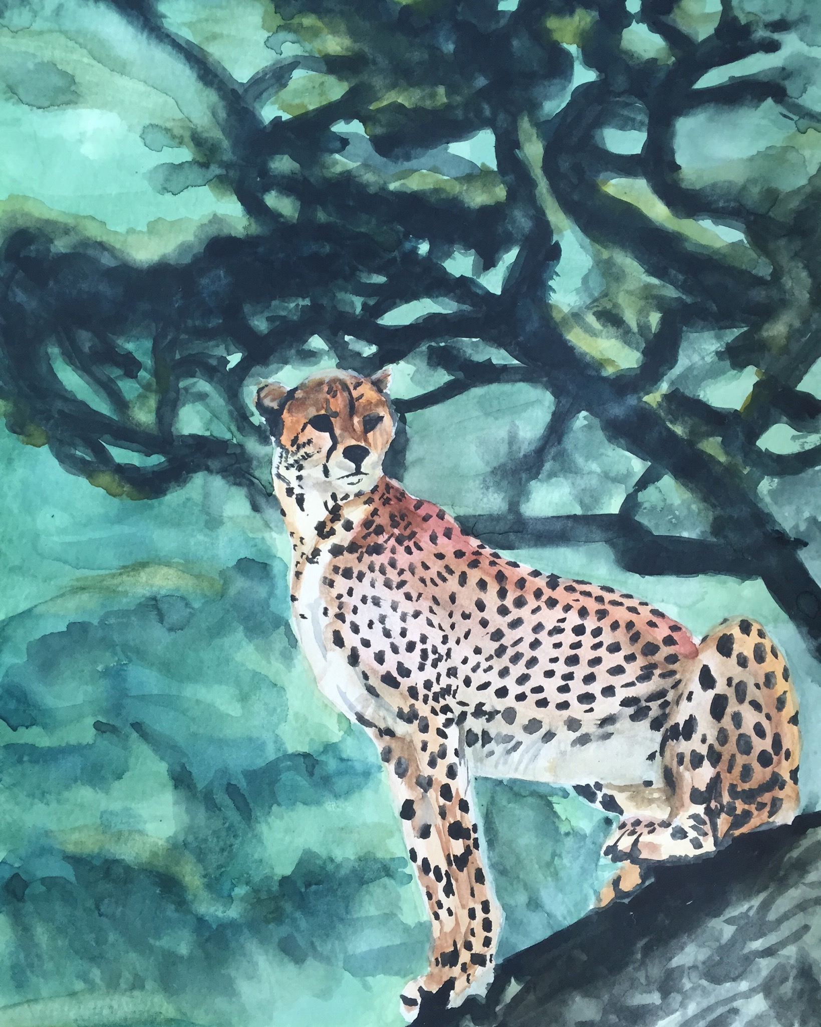 Cheetah Perch