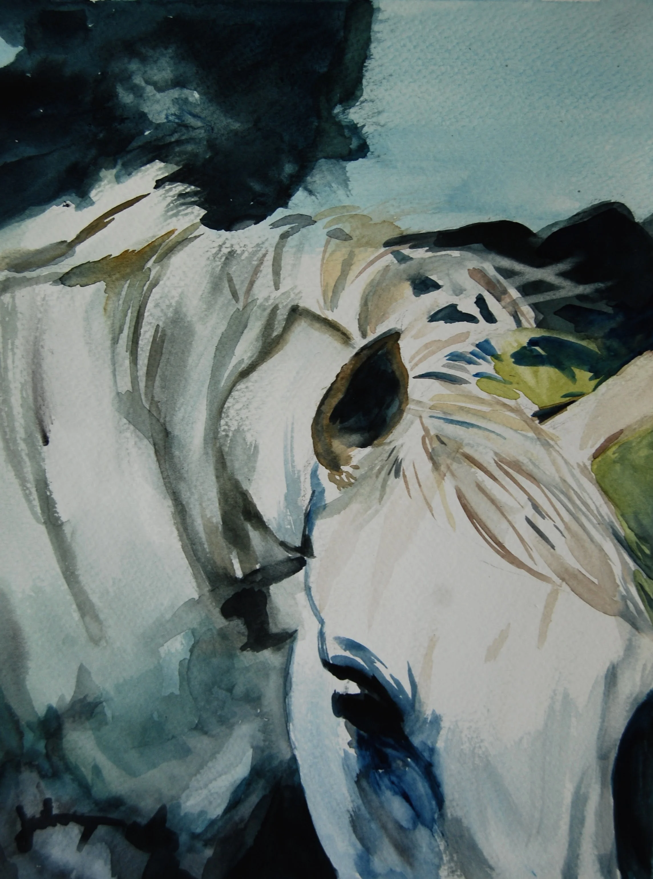 Stormy Horse