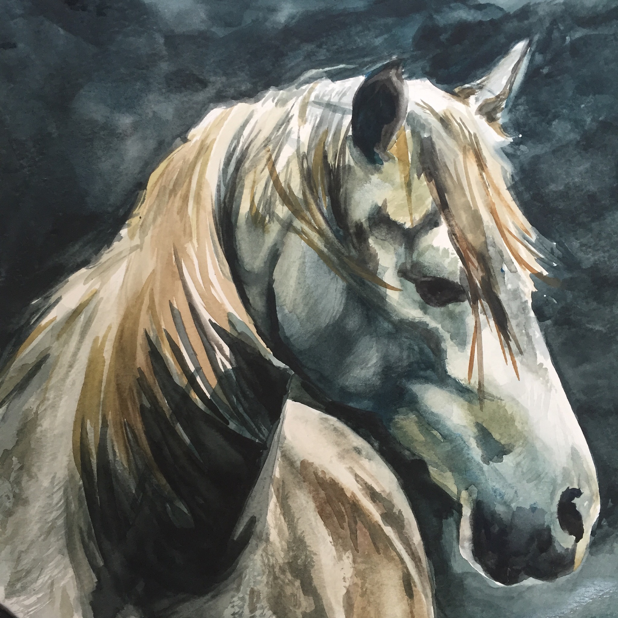 Rain and Mane