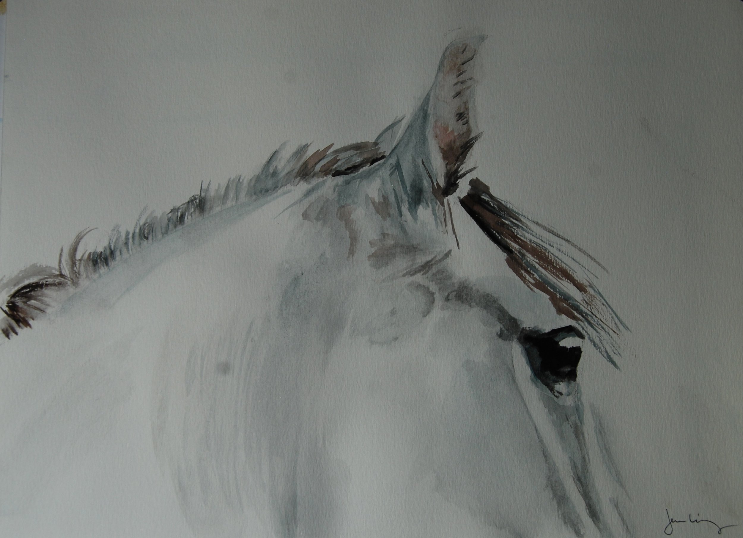 White Horse Profile