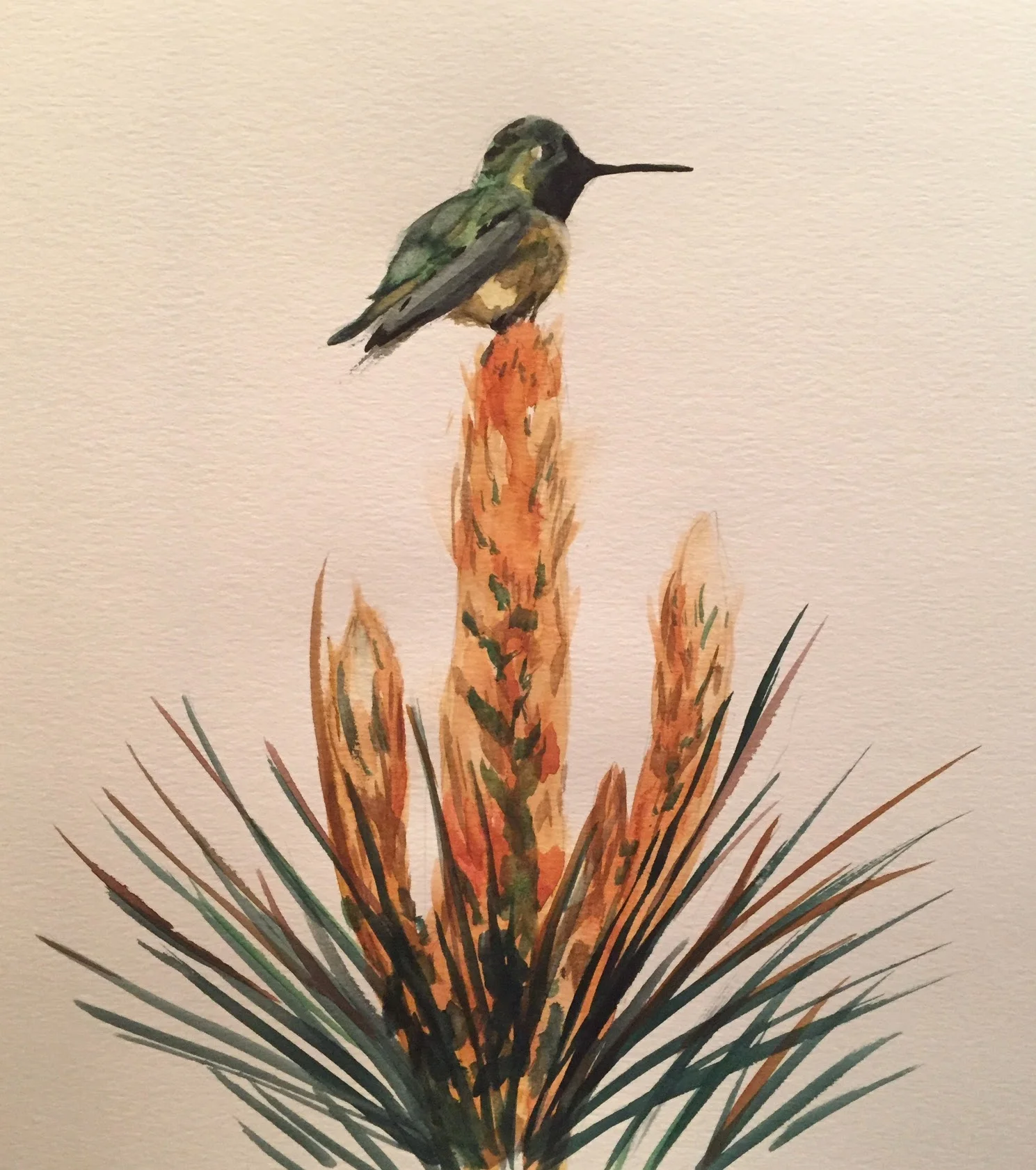 Yucca Perch