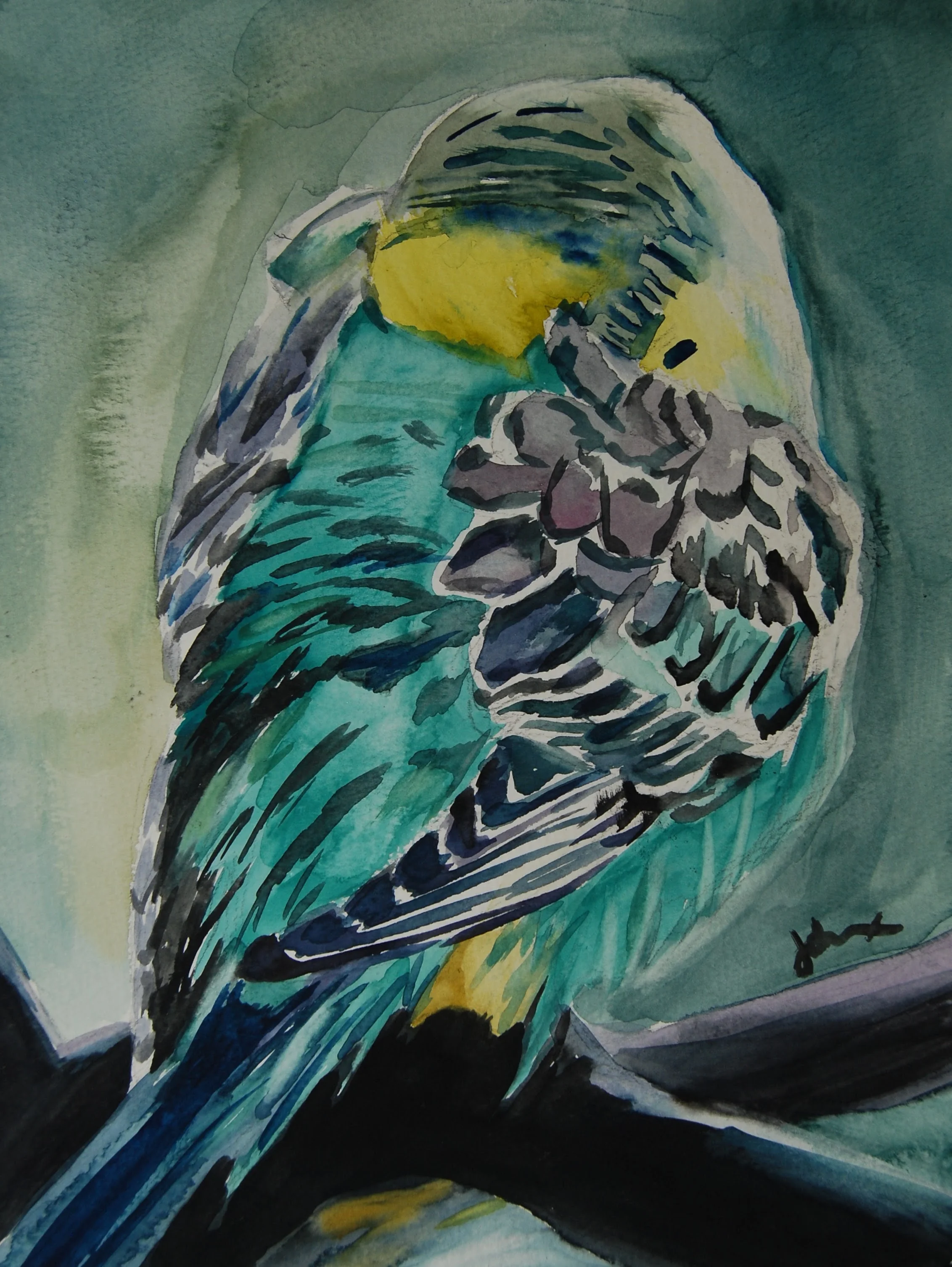 Canary Cool
