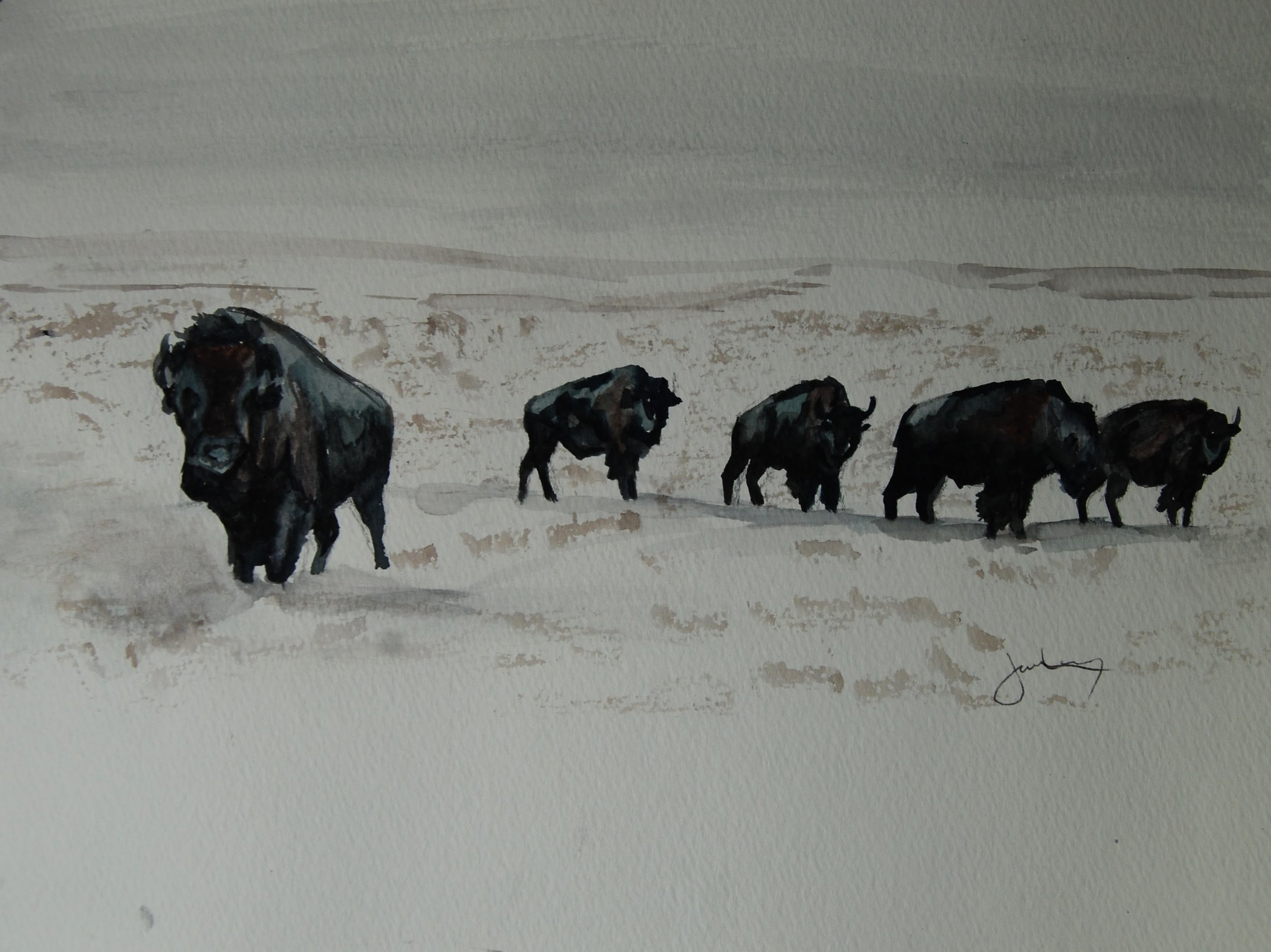 Winter Bison