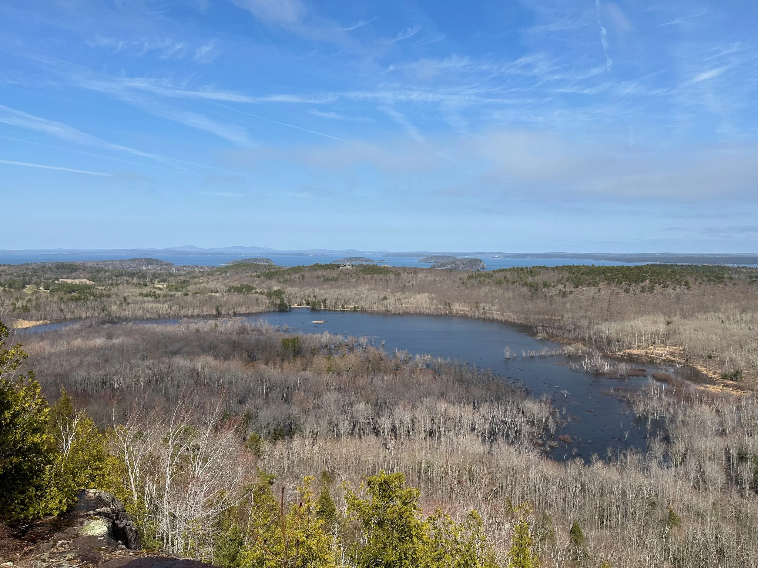 Weekly Birding Tour to Sieur de Monts Spring