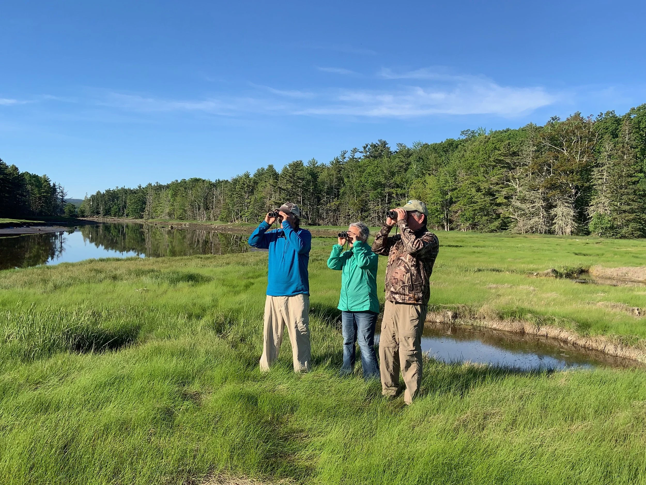 Weekly Birding Tour - Sieur de Monts Spring