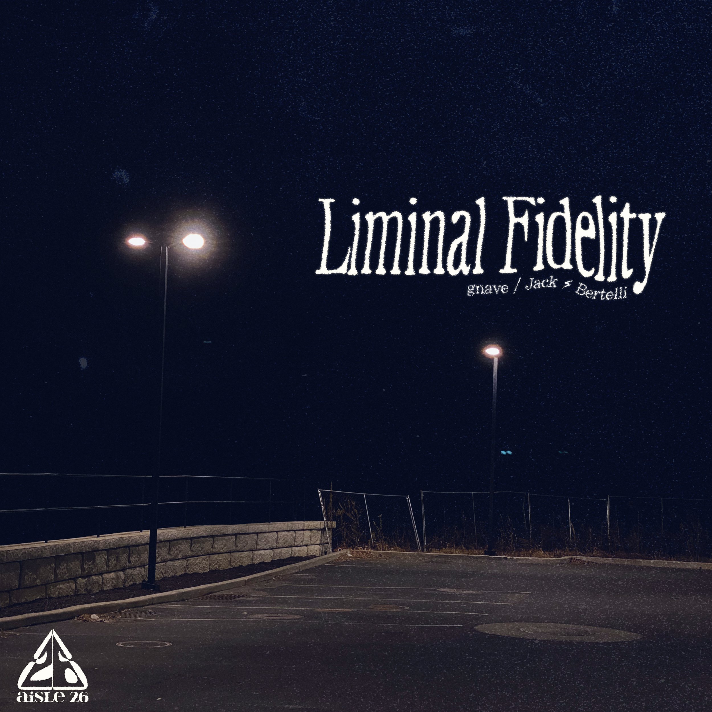 Liminal Fidelity (2024)