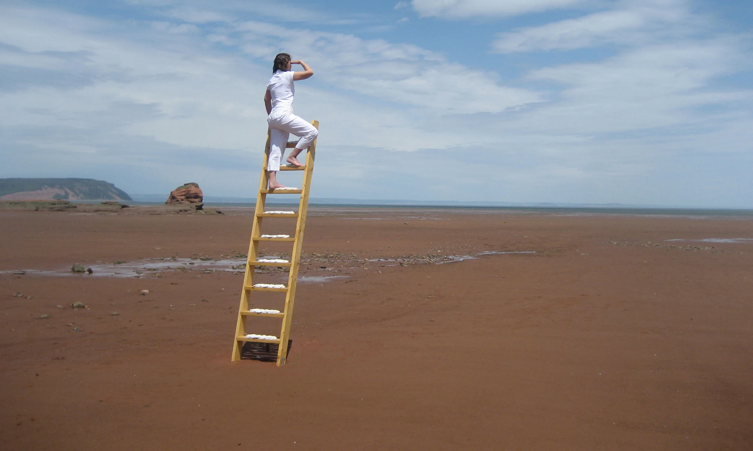 Tide Seeker