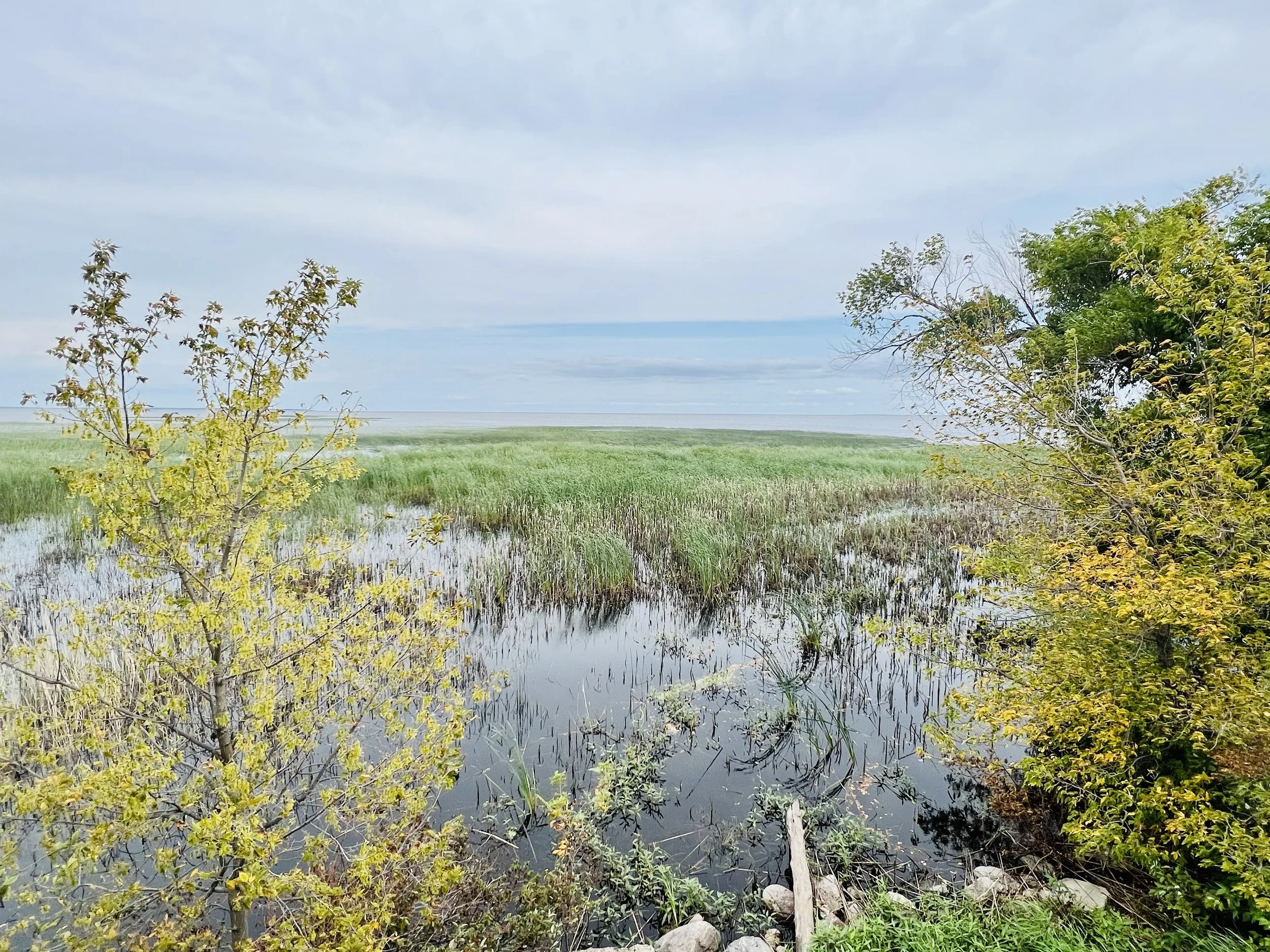 Warroad Walk Planning