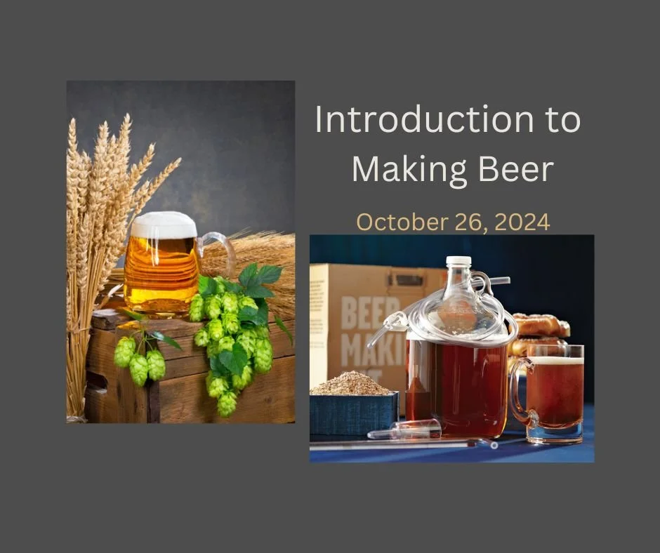 Introduction to Beer Making