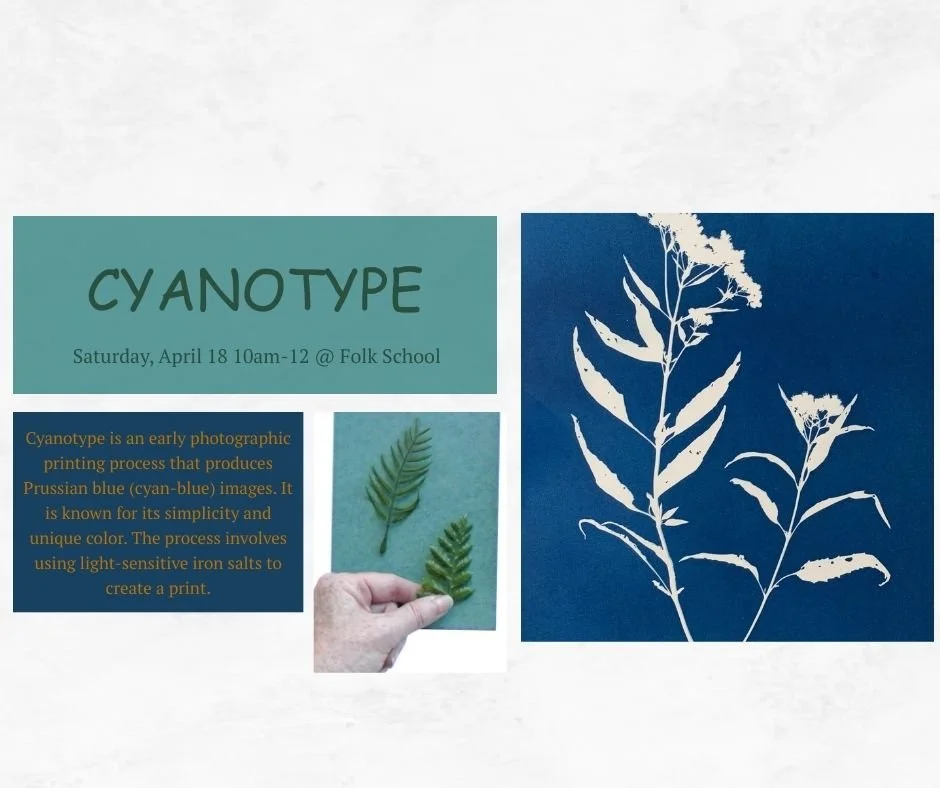 Cyanotype Printing