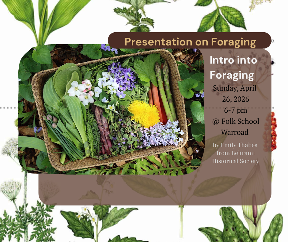 Foraging Presentation