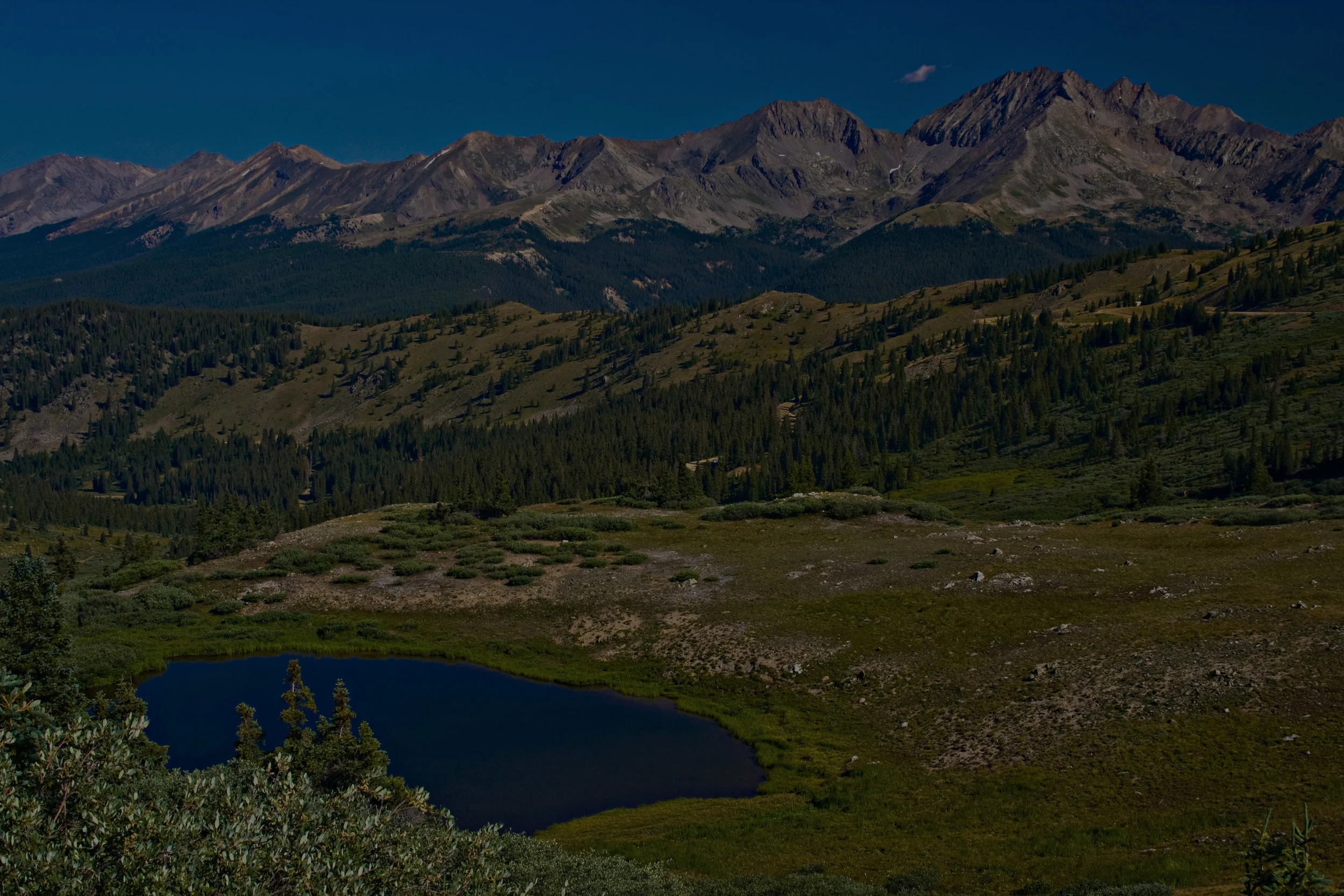 shutterstock_55636417_EDIT.jpg