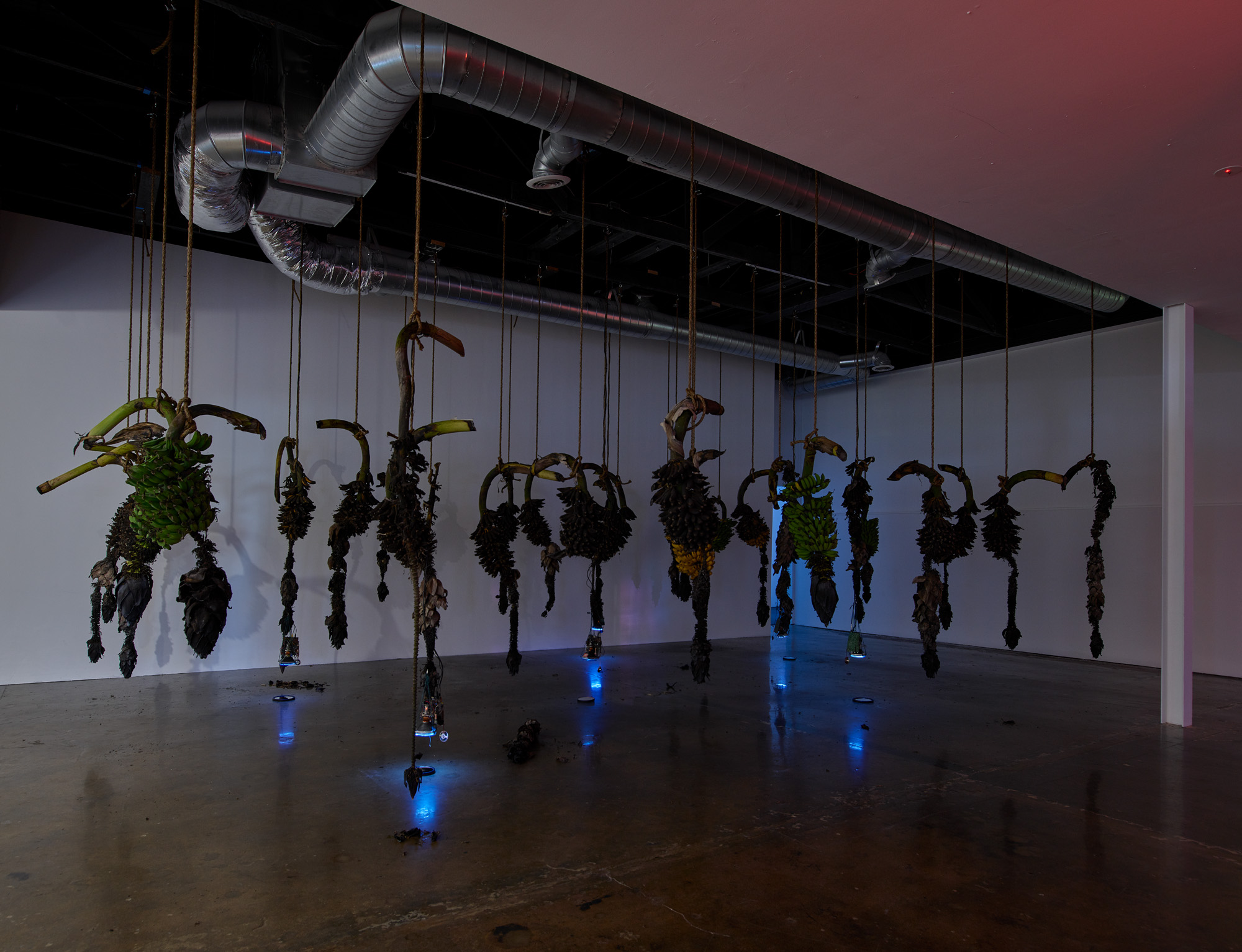 laxart_006.jpg