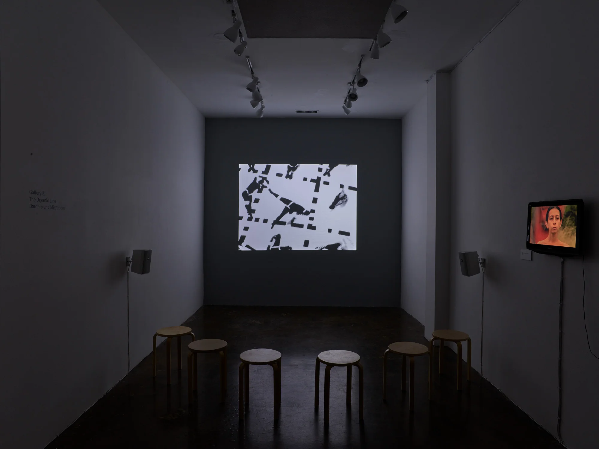 laxart_018.jpg